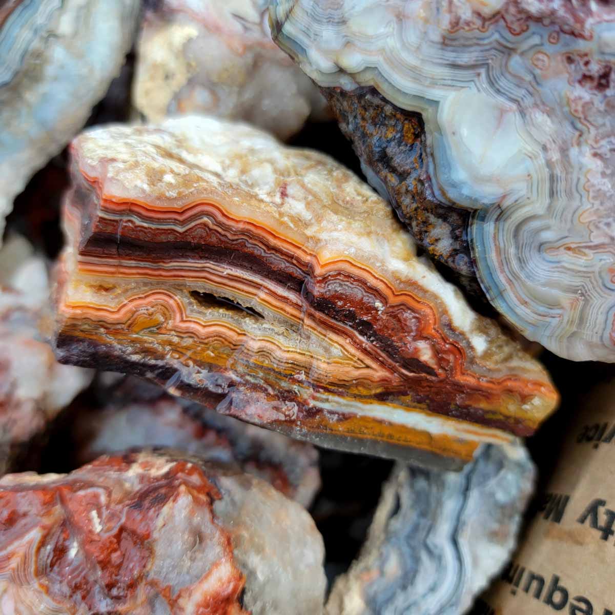 Mexican Crazy Lace Agate Rough Flatrate!