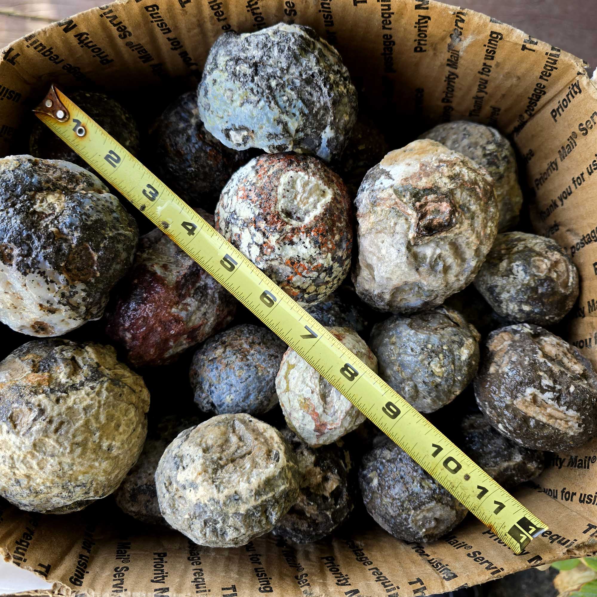 Solid Coconut Geode Flatrate Box Rough Stones Blue Agate and Quartz Interiors