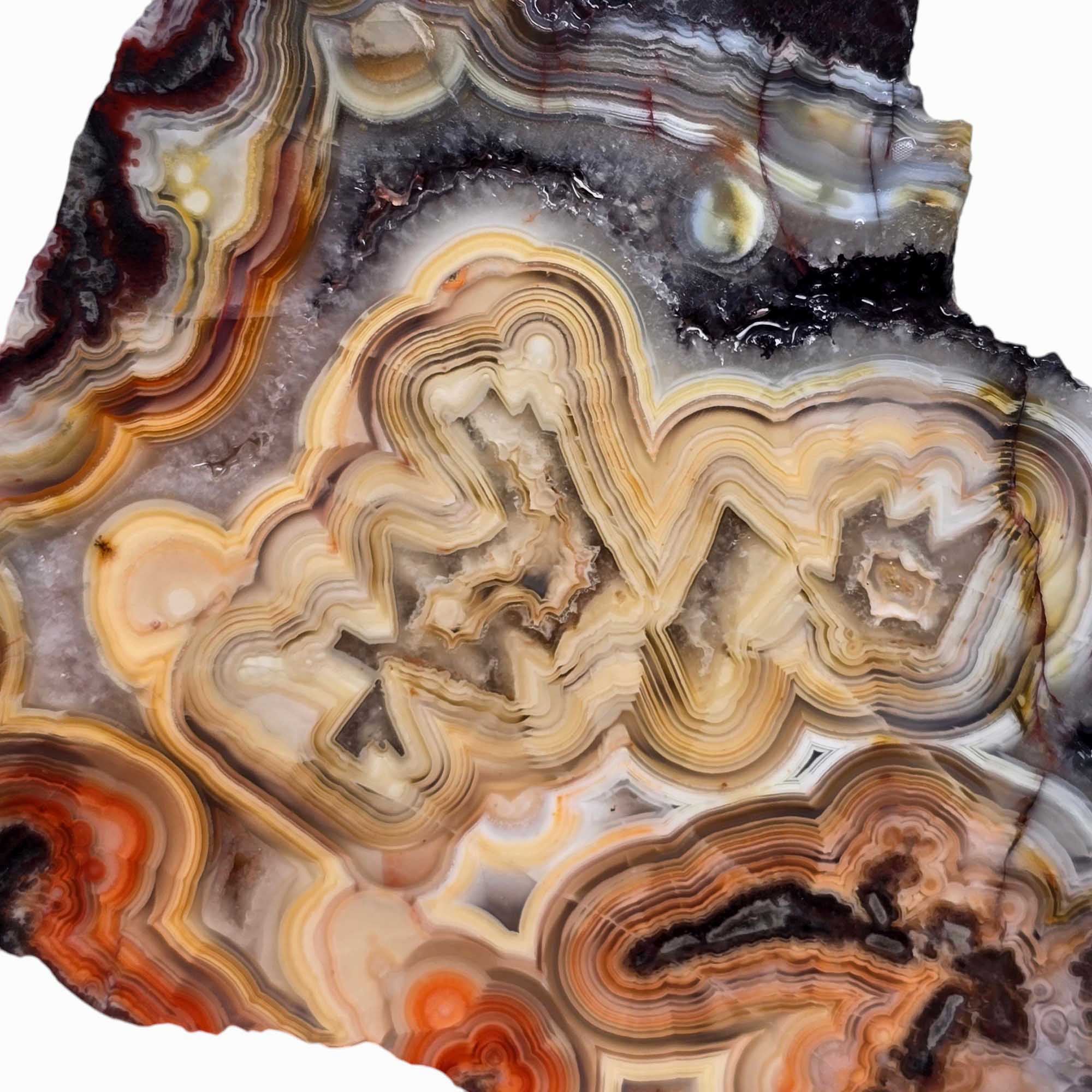 Laguna Lace Agate Slab Lapidary Stone Slice Cut Rock