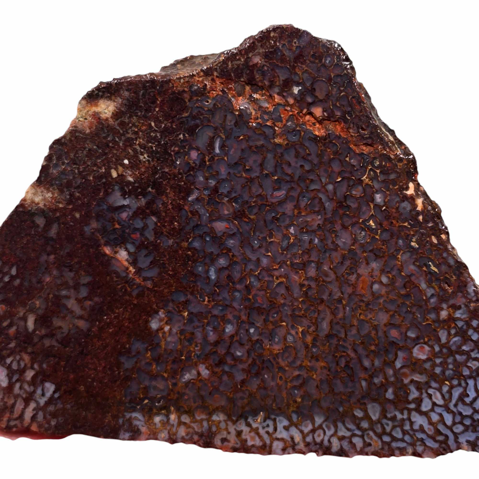 Gem Dinosaur Bone Slab – Authentic Silicated Fossil Bone! #3368-Photo1