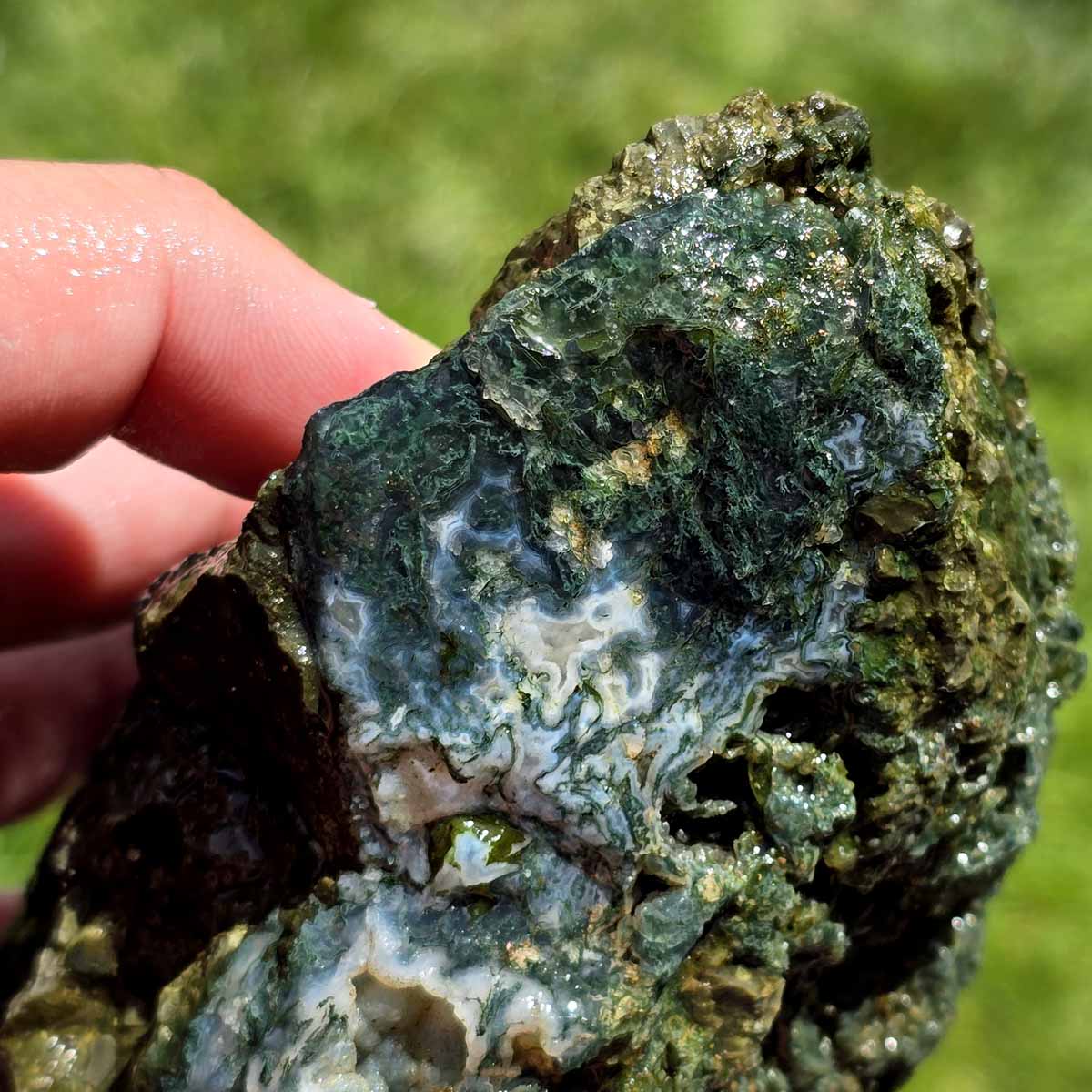 Maury Mountain Moss Agate Rough Flatrate!