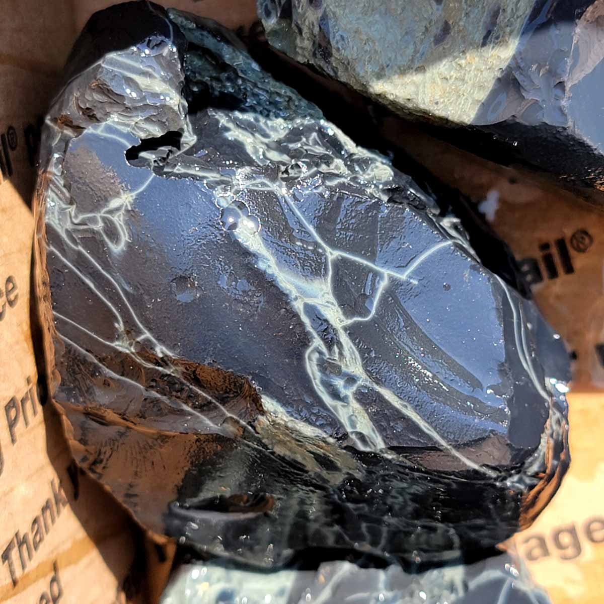 Mexican Spiderweb Obsidian Rough Flatrate
