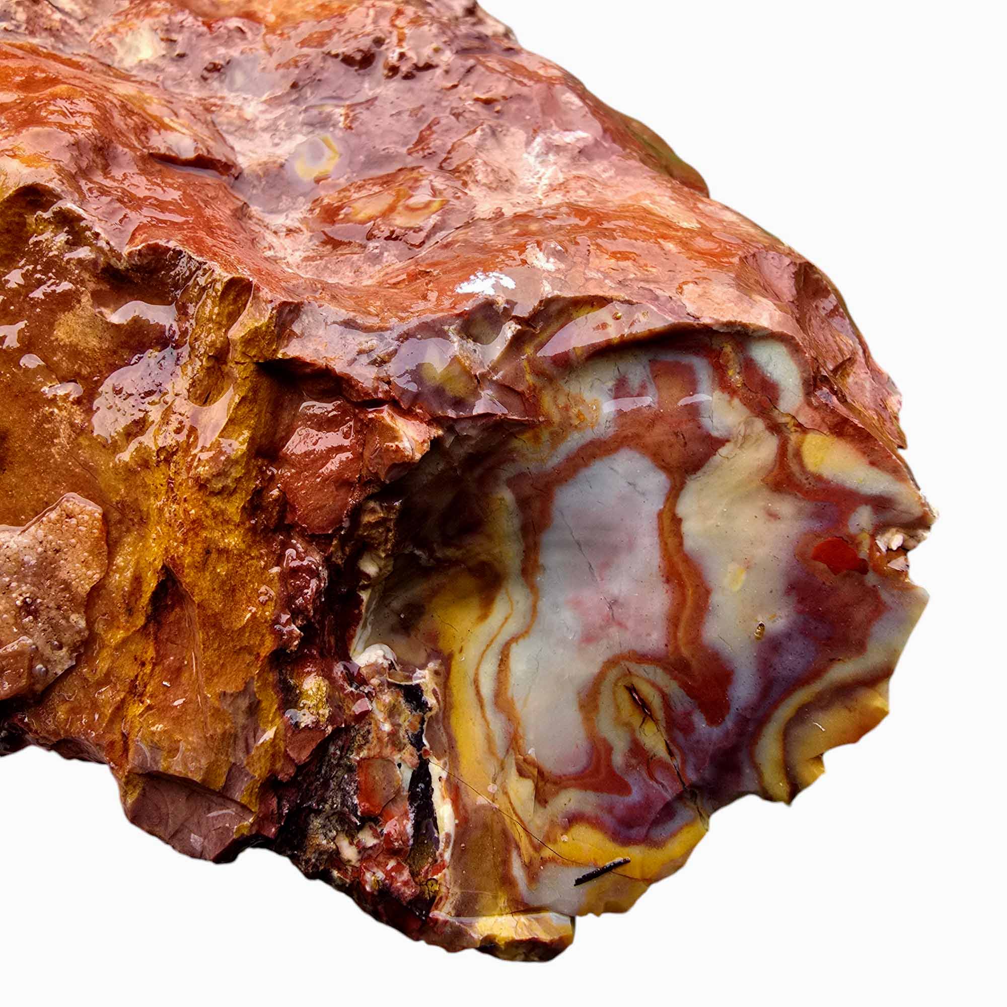 Rooster Tail Rhyolite Lapidary Cutting Rough Chunk