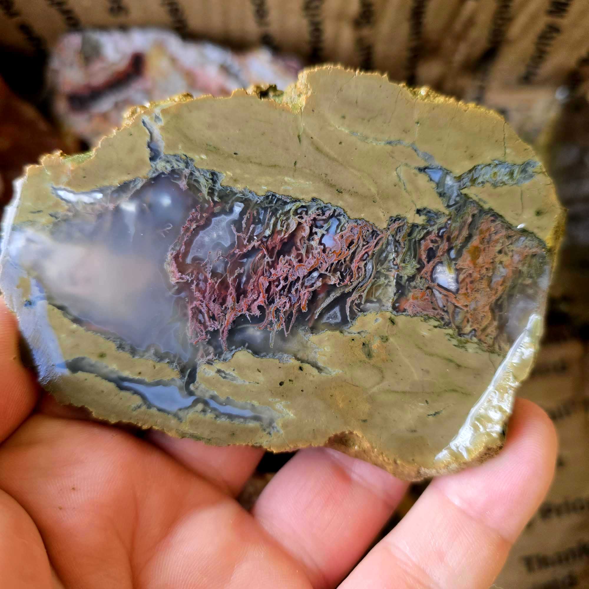 Endcut and Cut Proven Mixed Rough Box - Moss Bed, Jasper, Agate, Petrified Wood