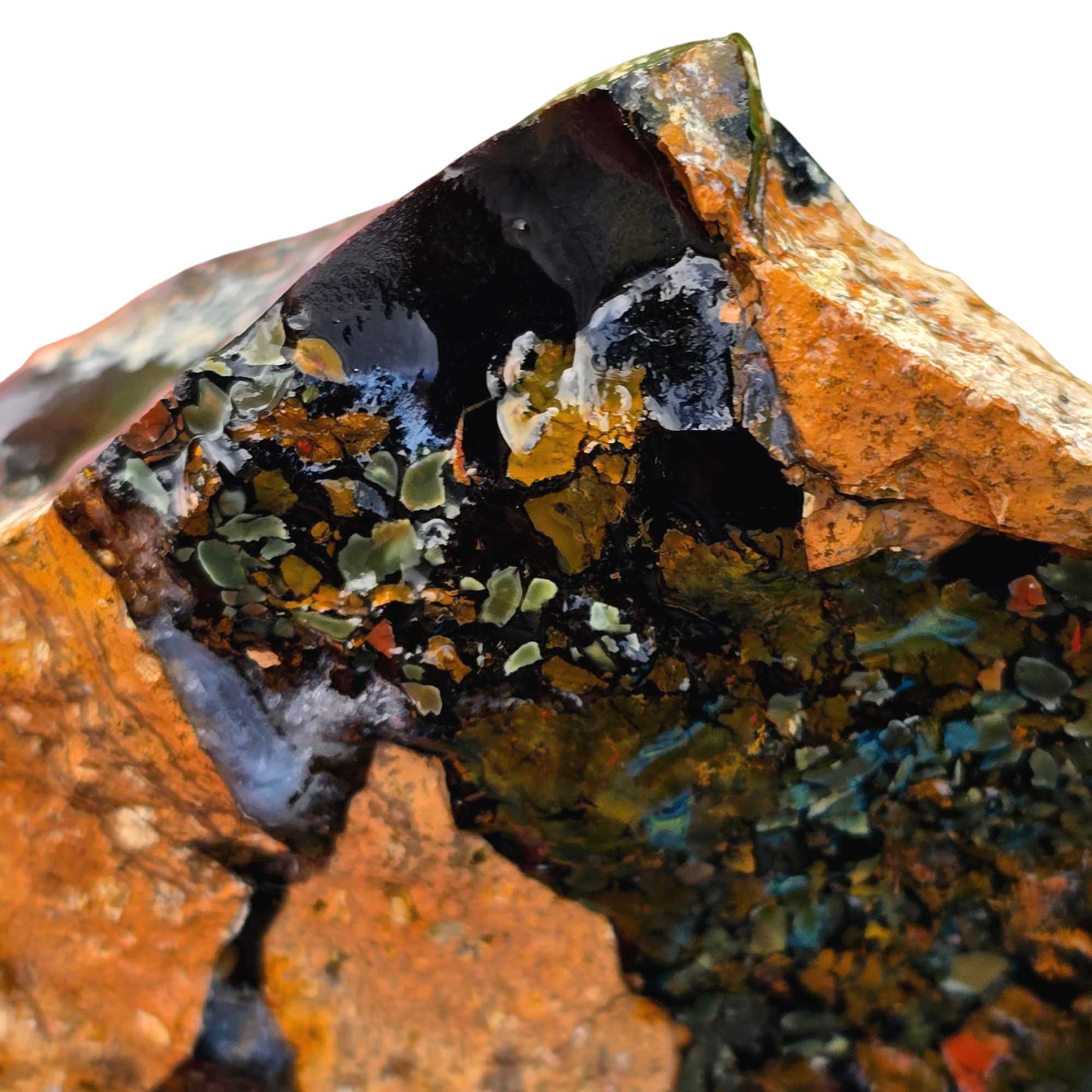 Orbicular Whisky Creek Jasper Lapidary Cutting Rough Chunk RARE