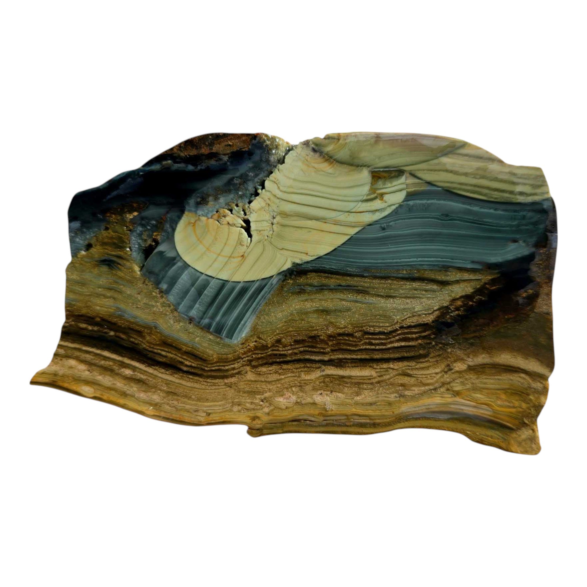 Blue Mountain Jasper Slab – Brush Stroke Patterns with Half Orbs from Oregon