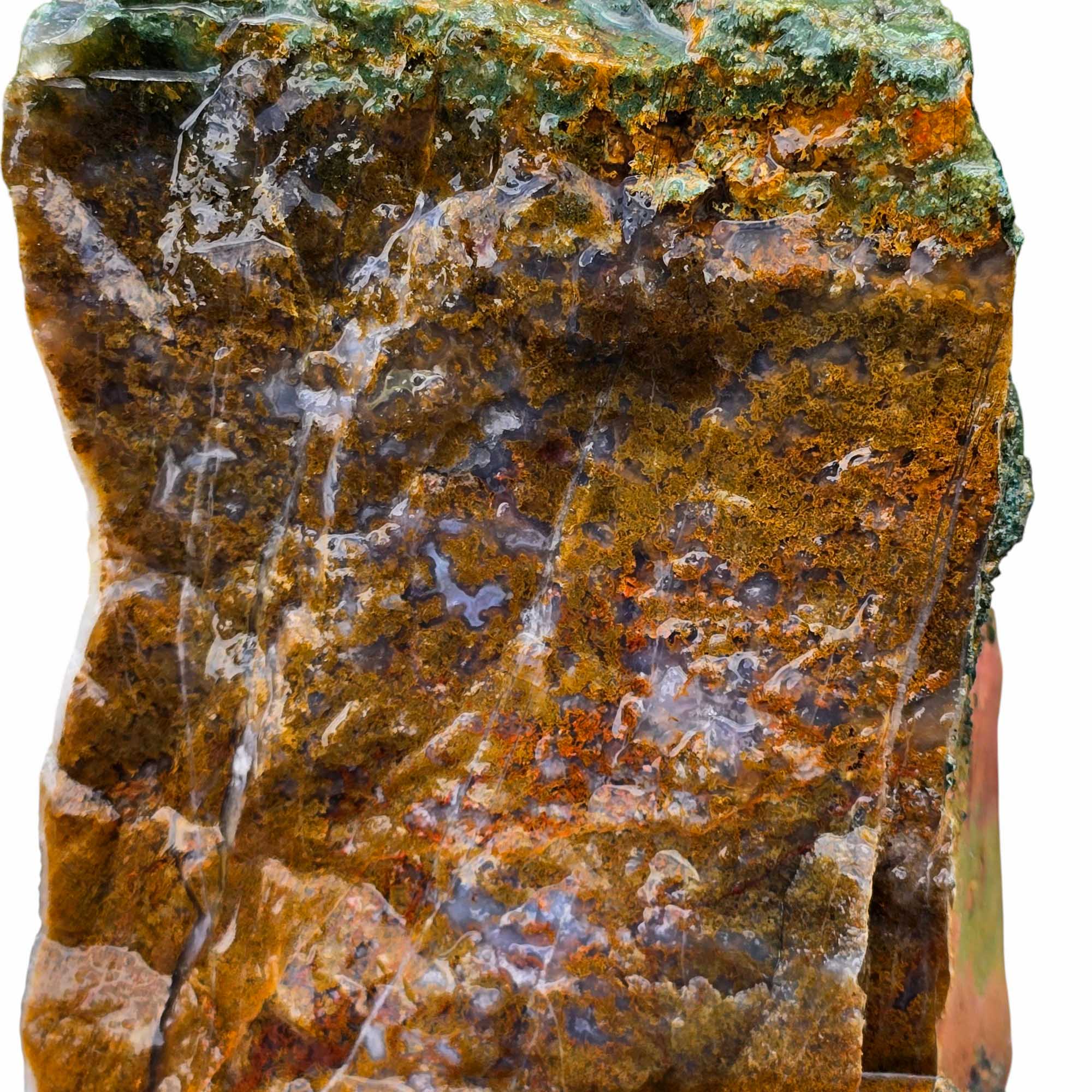 Maury Mountain Moss Agate Lapidary Cutting Rough Chunk