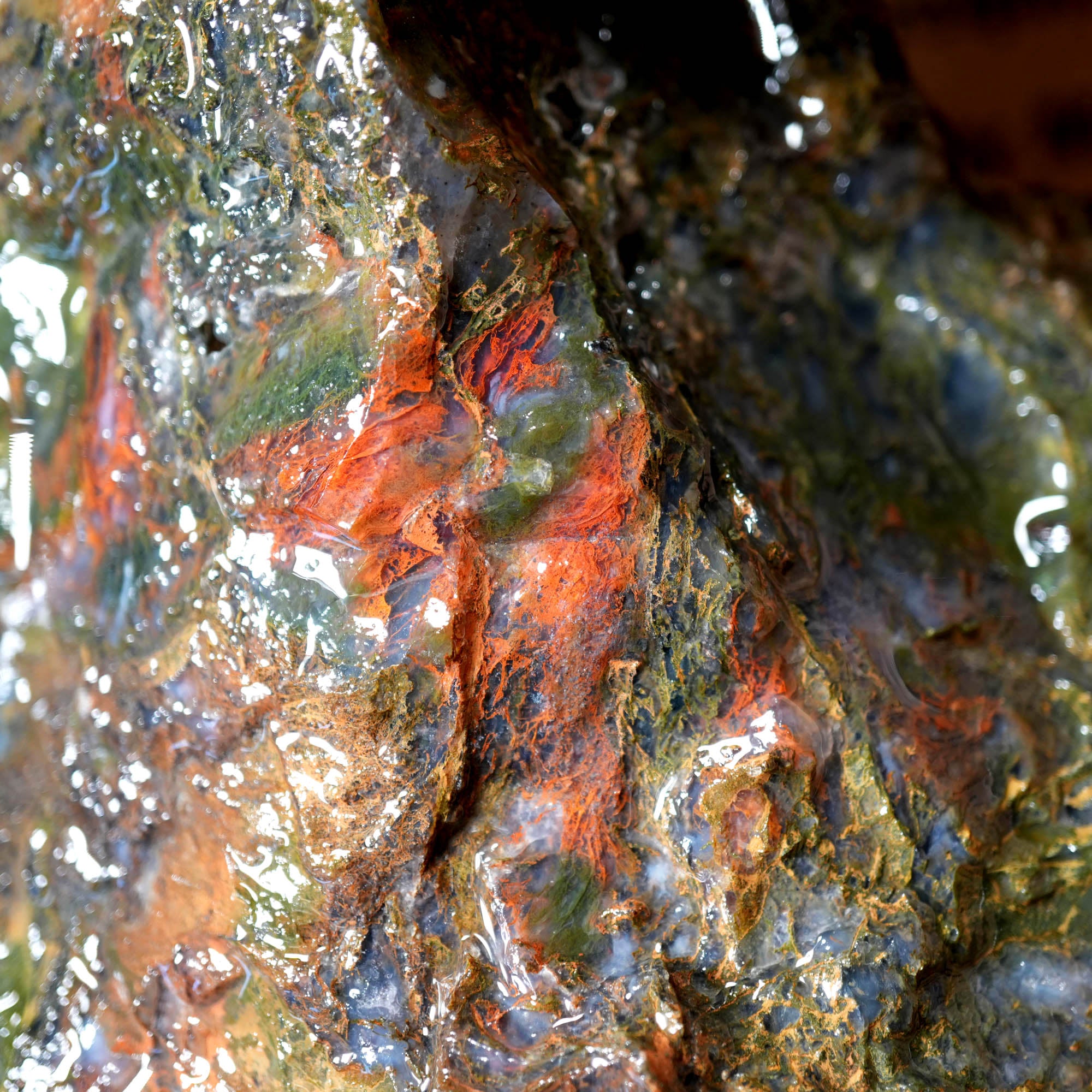 Maury Mountain Moss Agate Duo - Classic Green Moss Cutters