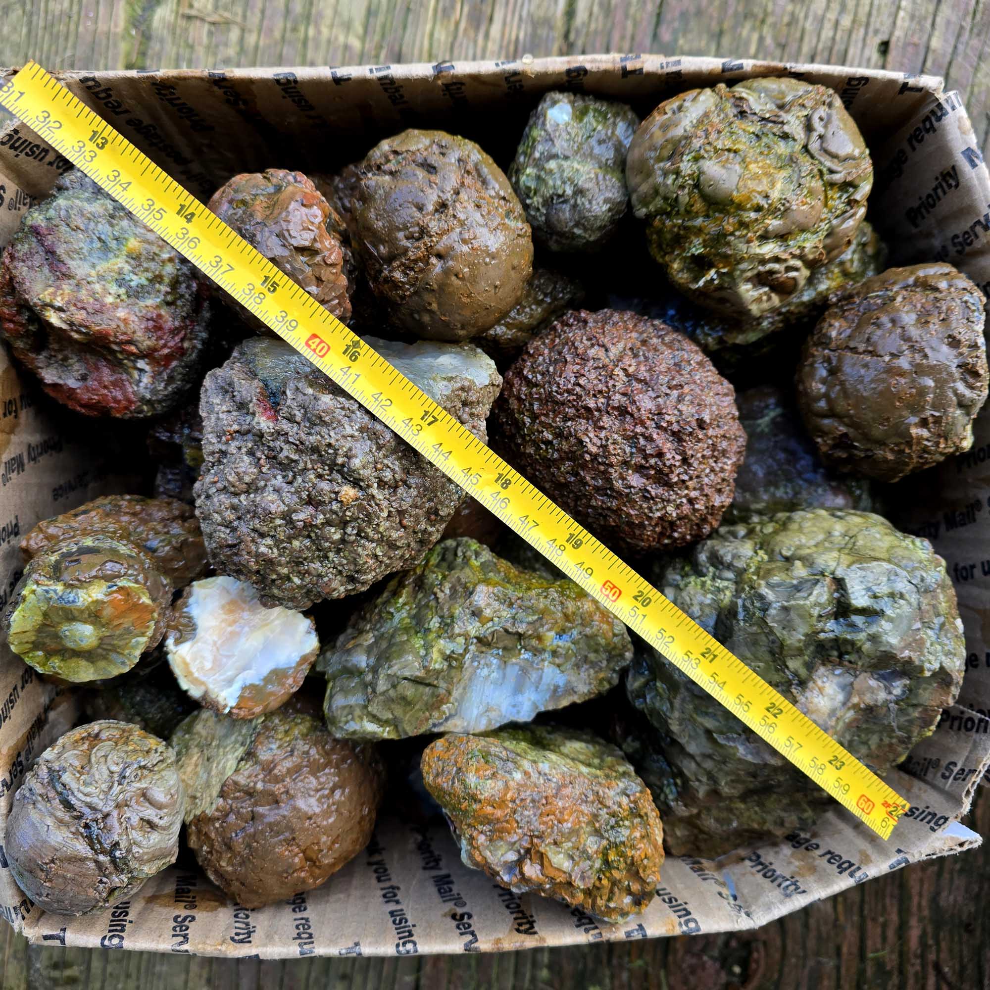Old Stock Oregon Thunderegg Cutting Rough Flatrate Slicing Stones Rock Box