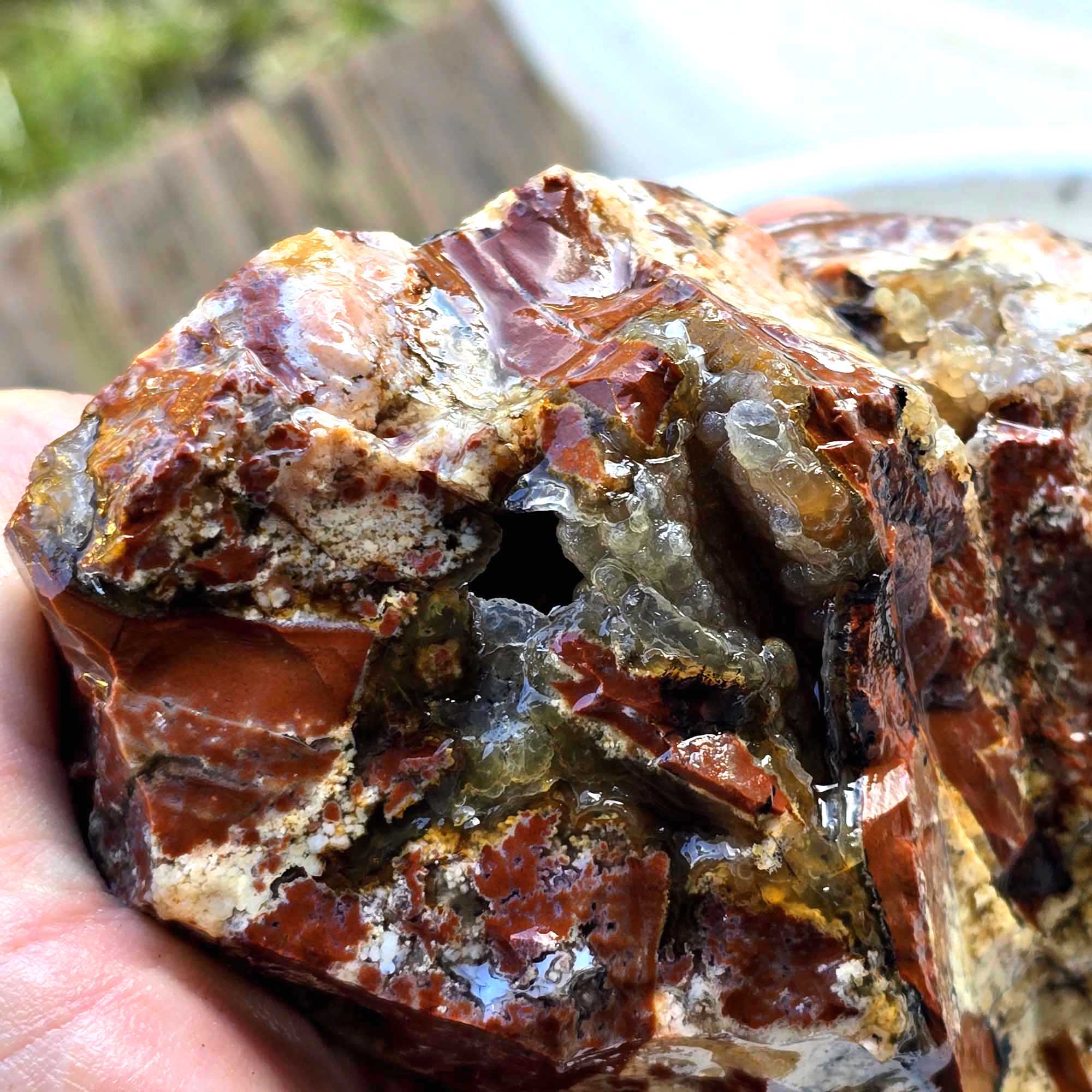 Old Stock Eagle Rock Plume Agate Lapidary Cutting Rough Flatrate Box