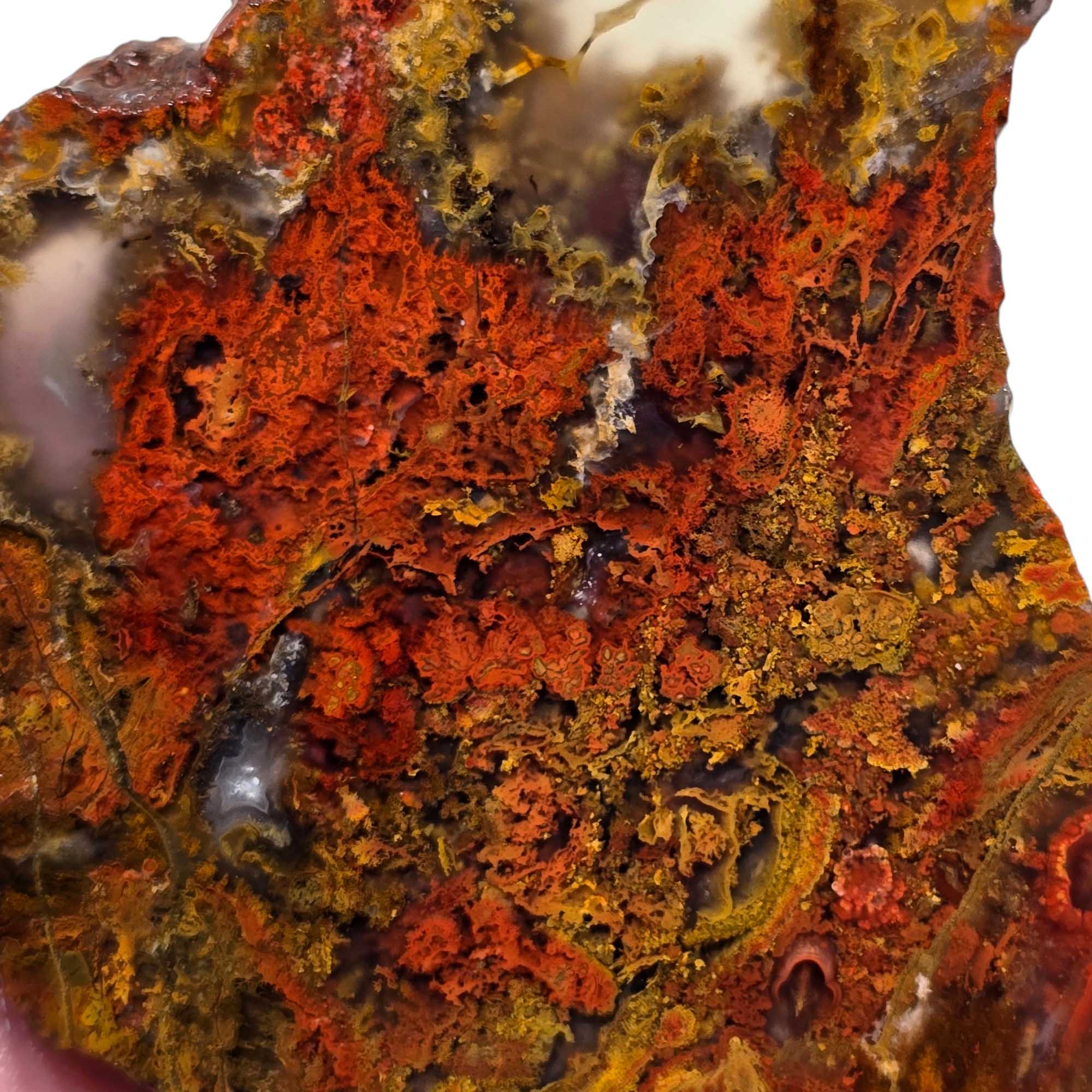 San Carlos Agate Slab Lapidary Stone Slice Cut Rock