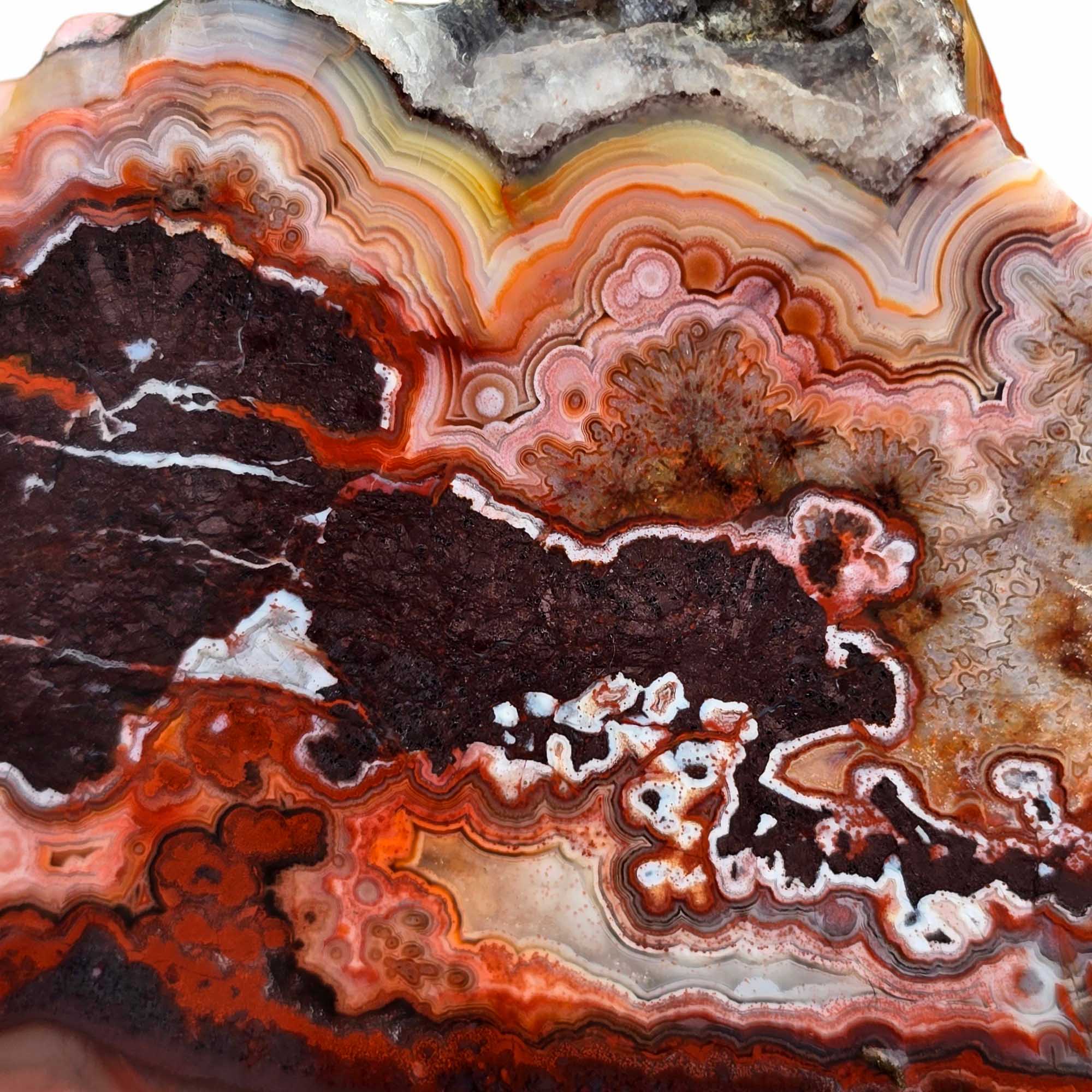 Crazy Lace Agate Slab – Deep Laguna Red Banded Agate from Mexico