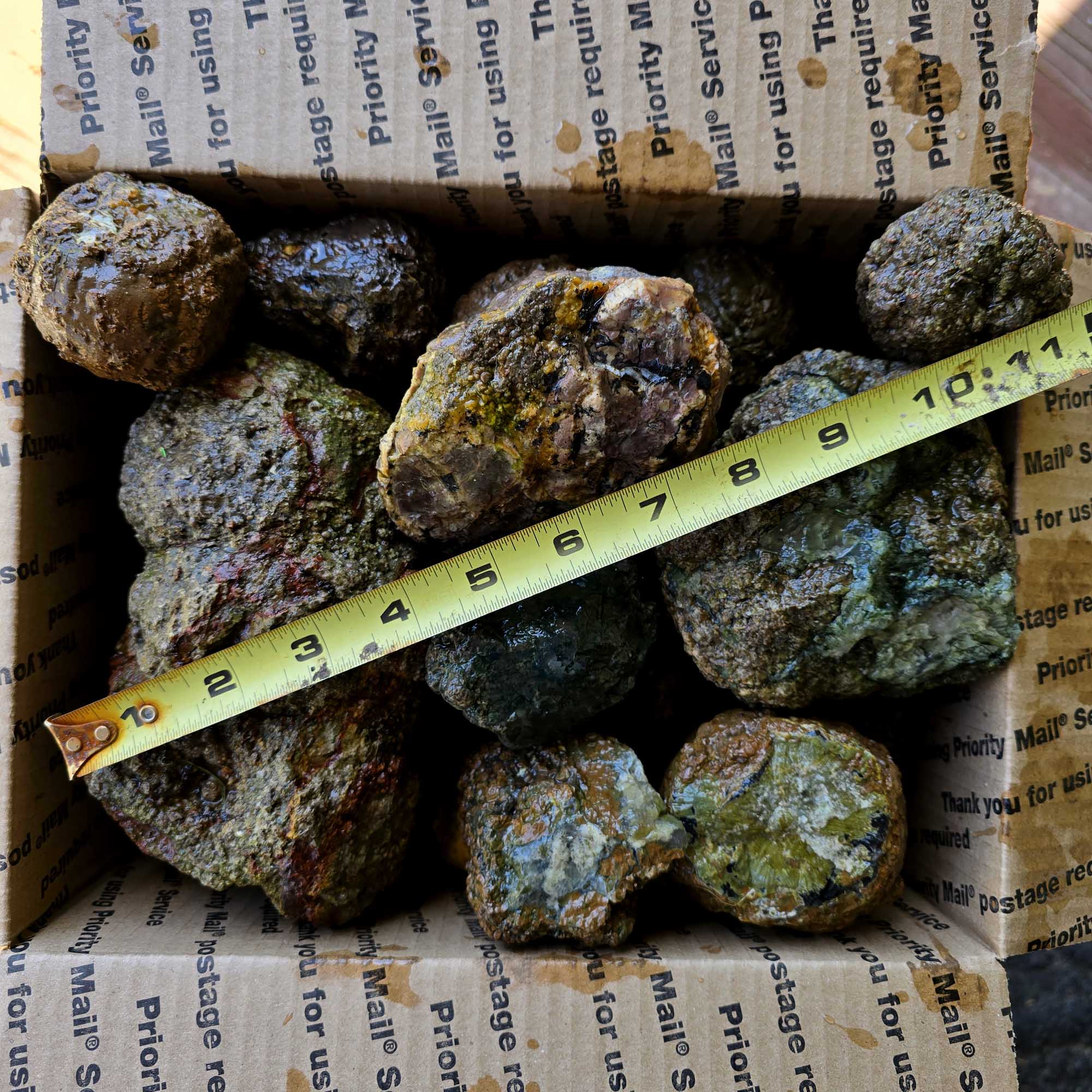 Old Stock Oregon Thunderegg Cutting Rough Flatrate Slicing Stones Rock Box