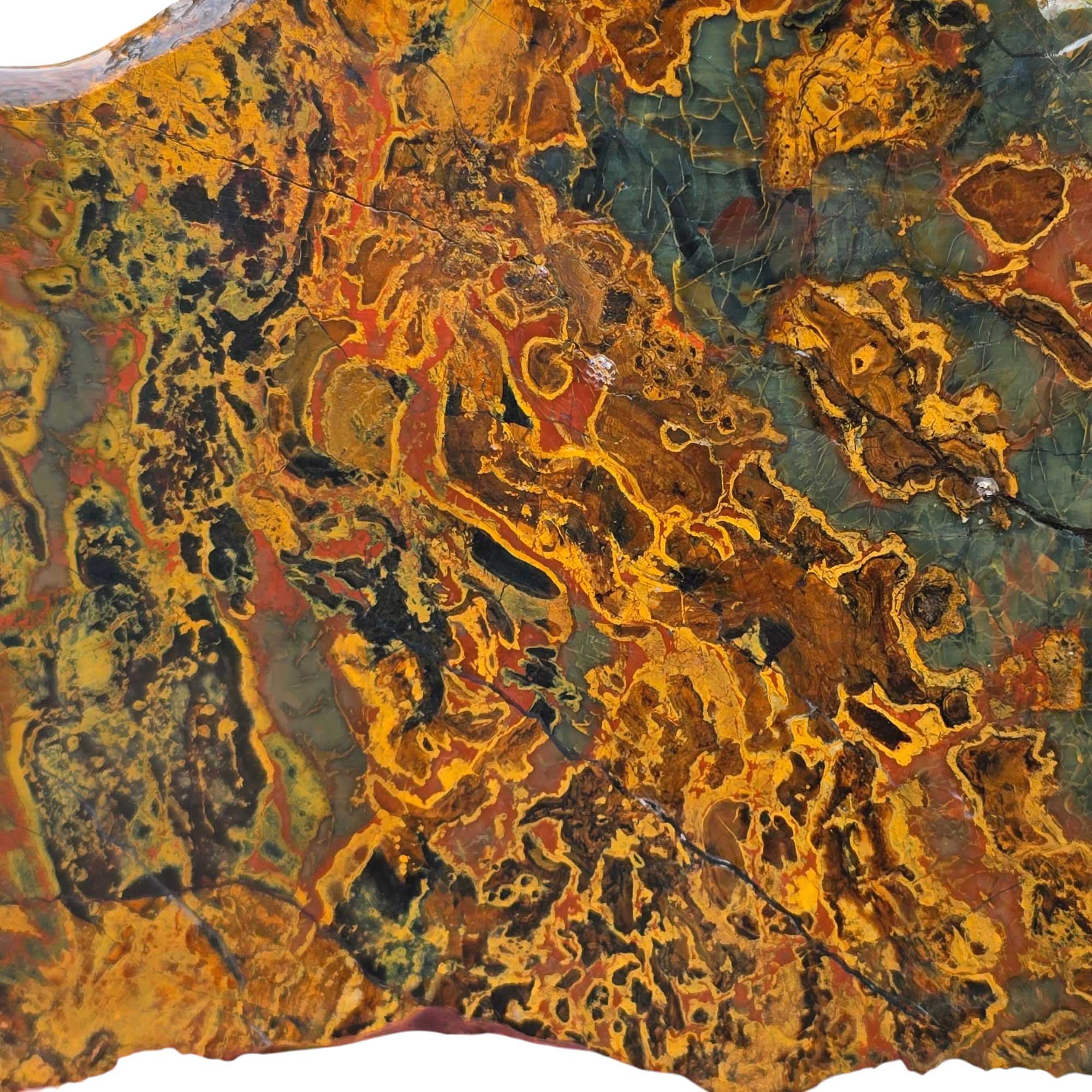 Kaleidoscope Jasper – Rare Jurassic Jasper Variety, Now Depleted