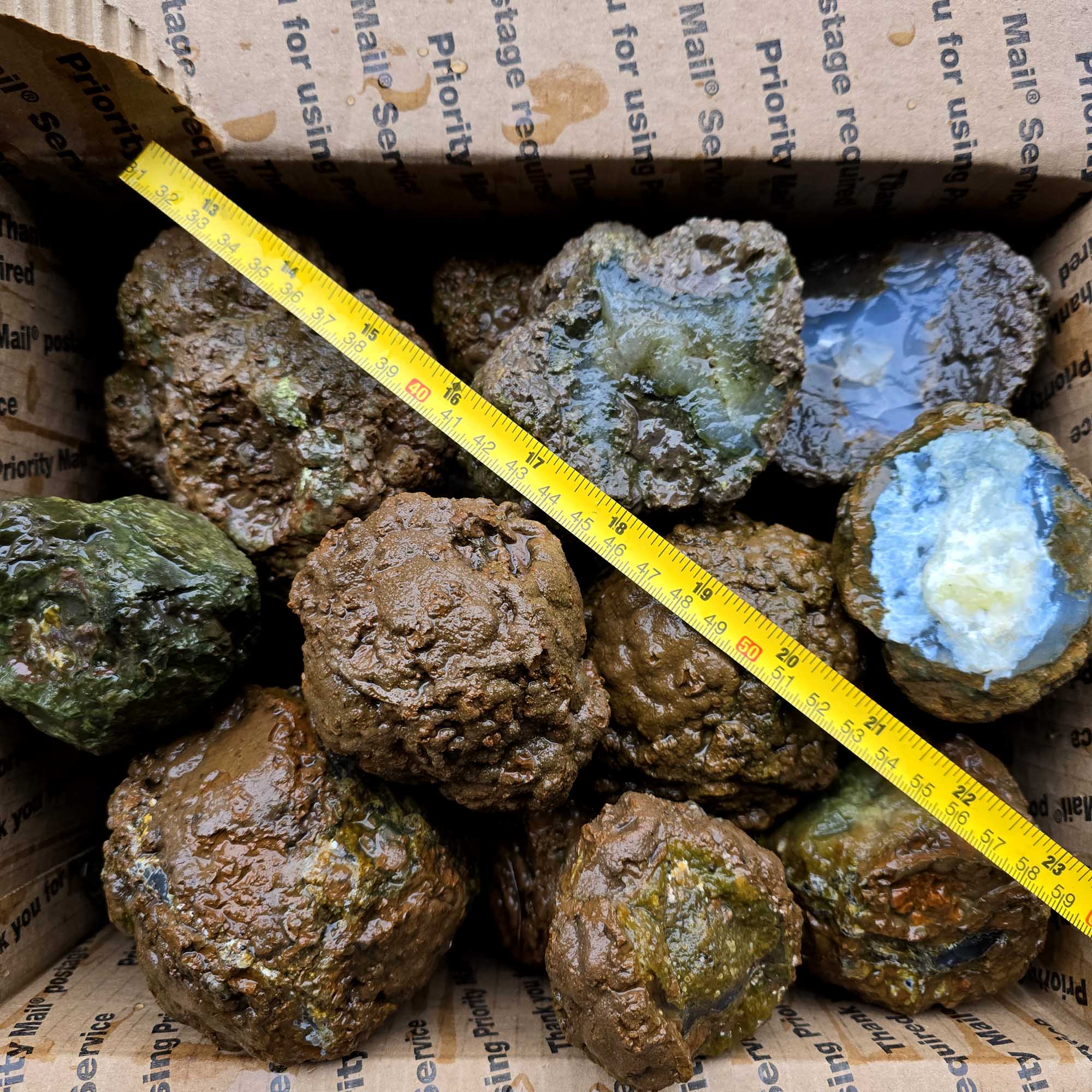 Old Stock Oregon Thunderegg Cutting Rough Flatrate Slicing Stones Rock Box