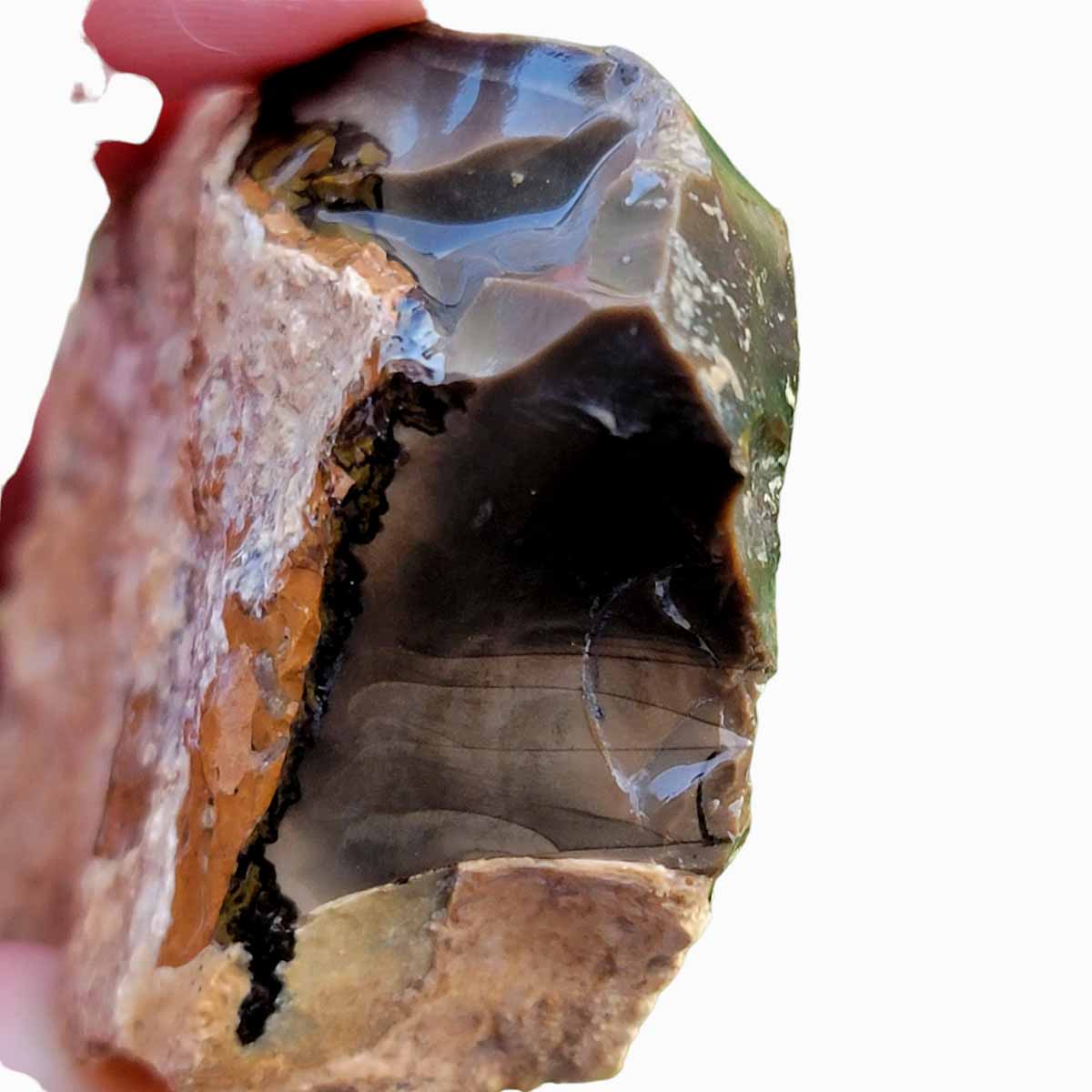 Orbicular Whisky Creek Jasper Rough Chunk! RARE!