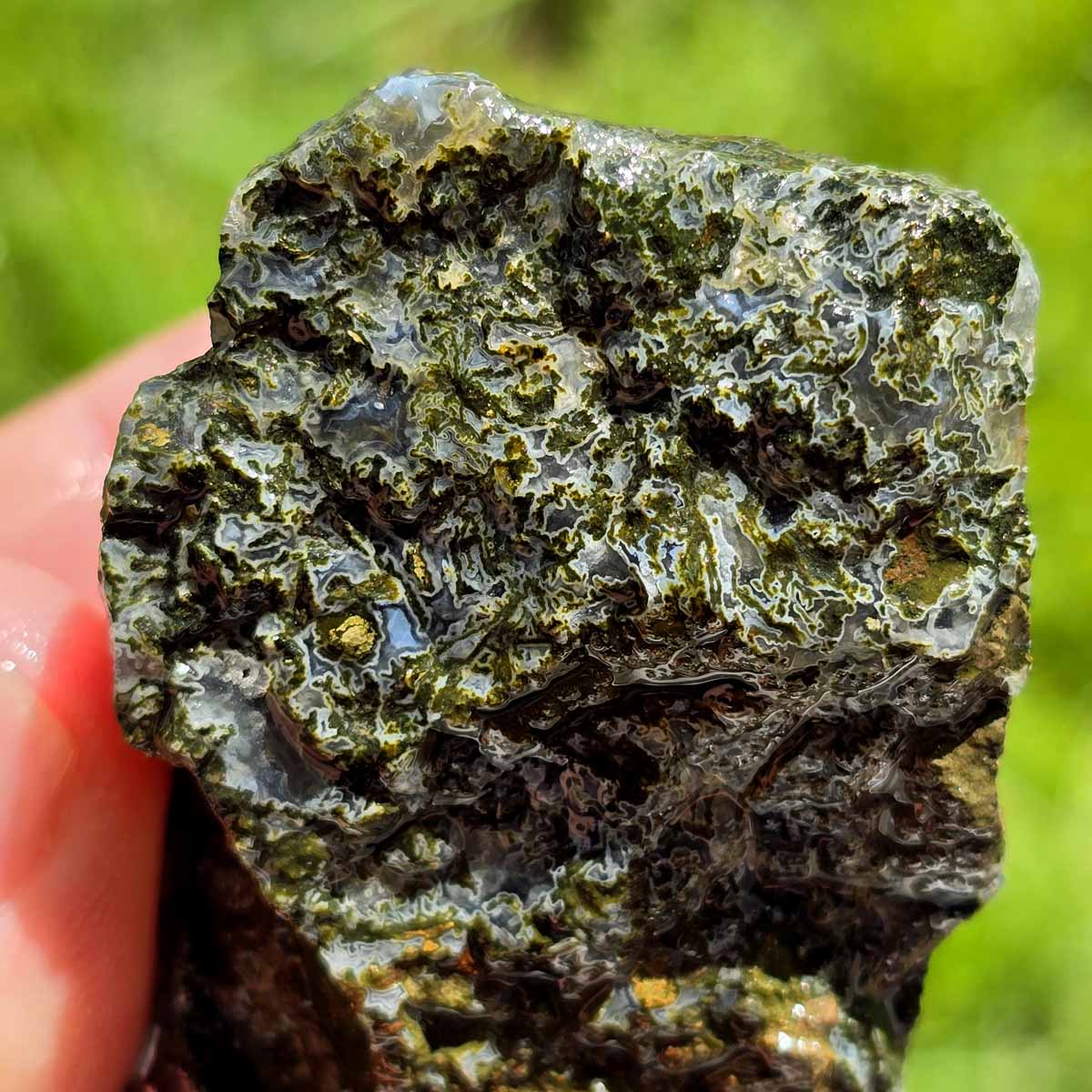 Maury Mountain Moss Agate Tumbling Rough Flatrate!