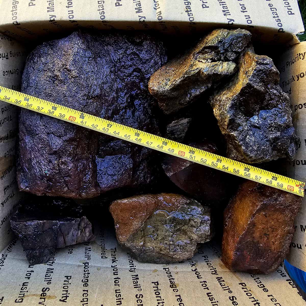 Gamble Discount Gem Dinosaur Bone Rough Flatrate