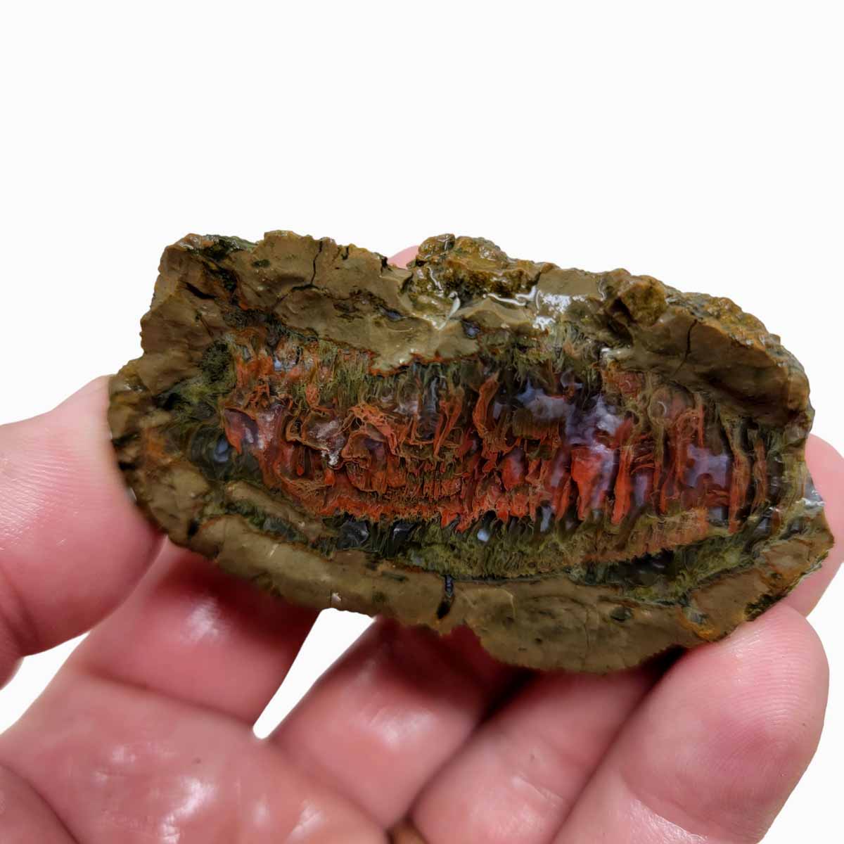 Priday Moss Bed Egg Rough Chunk!