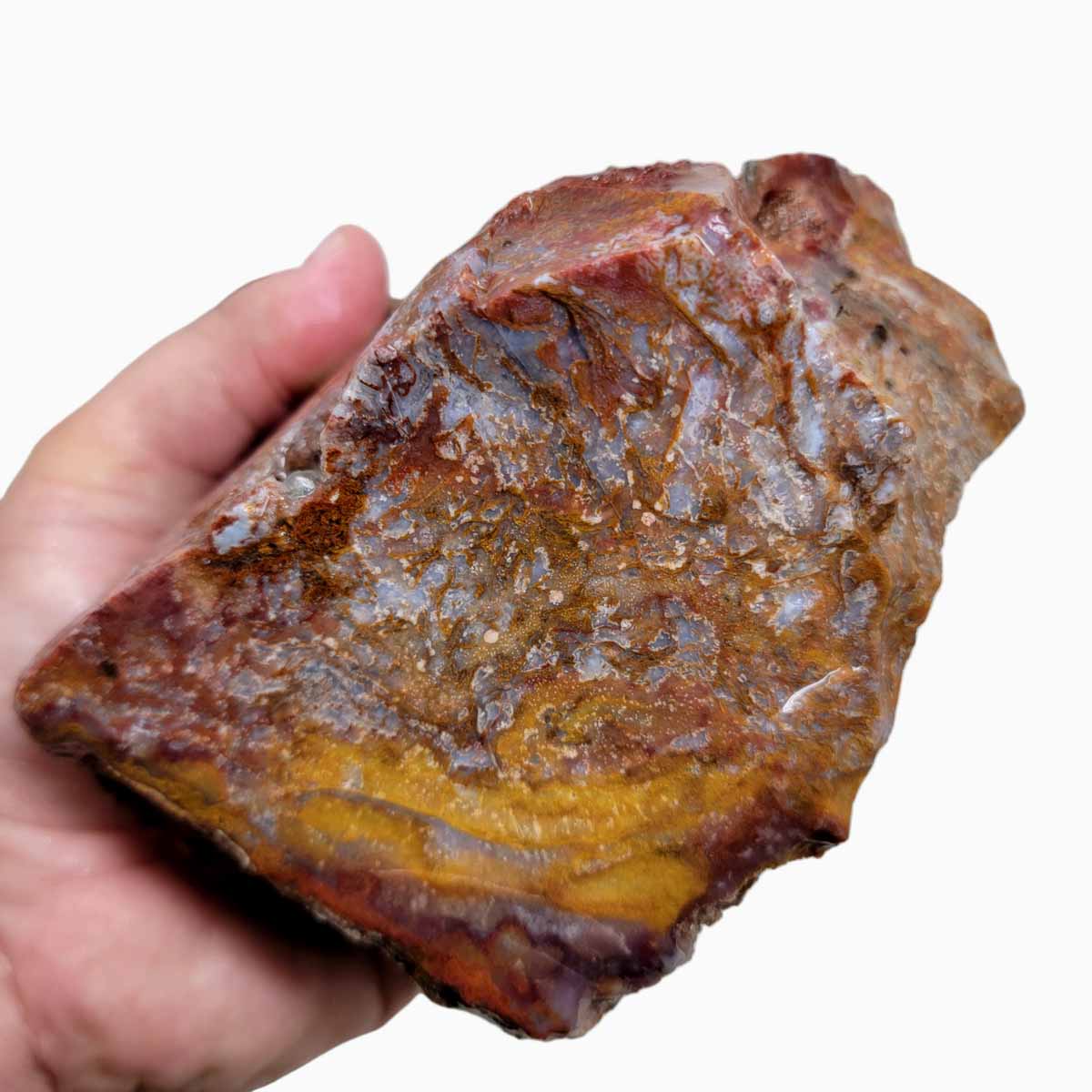 Agua Nueva Agate New Water Agate Rough Chunk!
