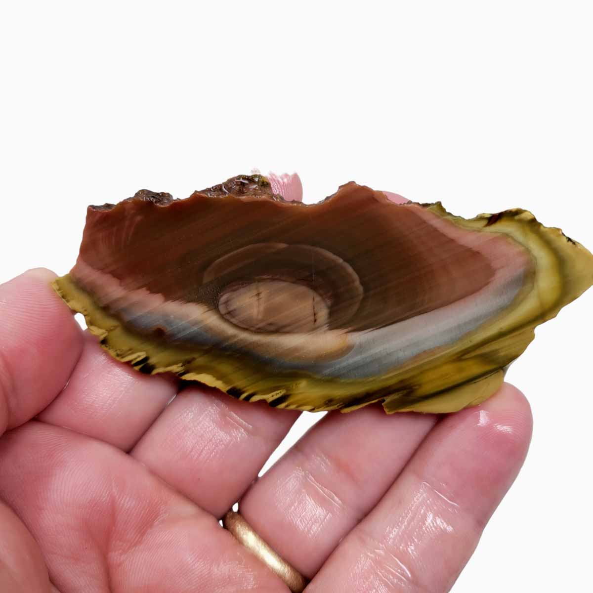 Royal Imperial Jasper Slab! Lapidary Stone Slab!