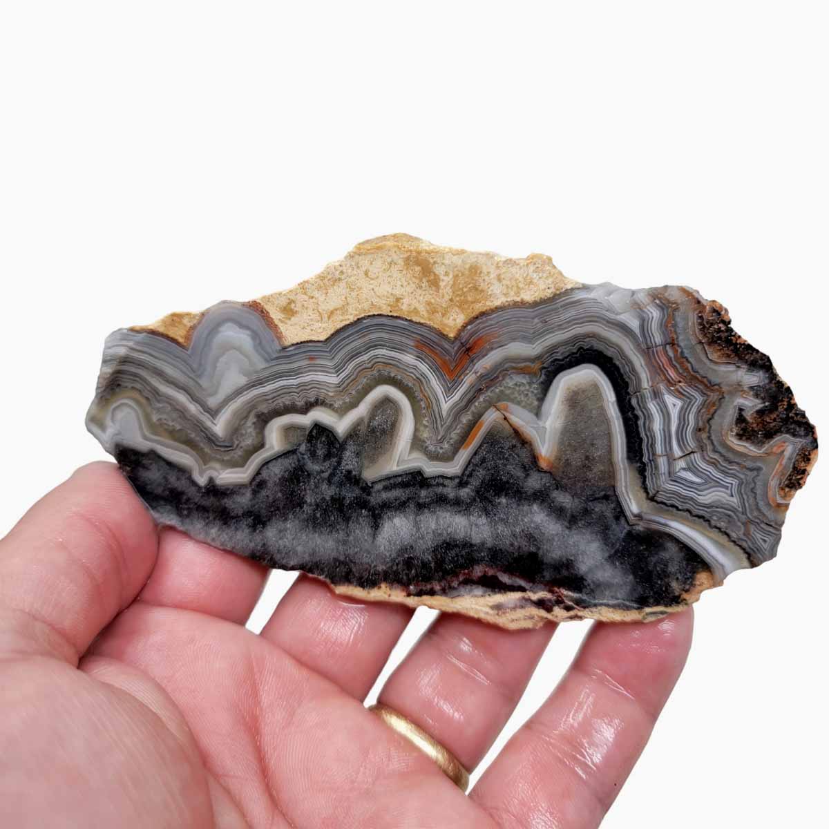 Old Vein Crazy Lace Agate Slab! Lapidary Stone Slab!
