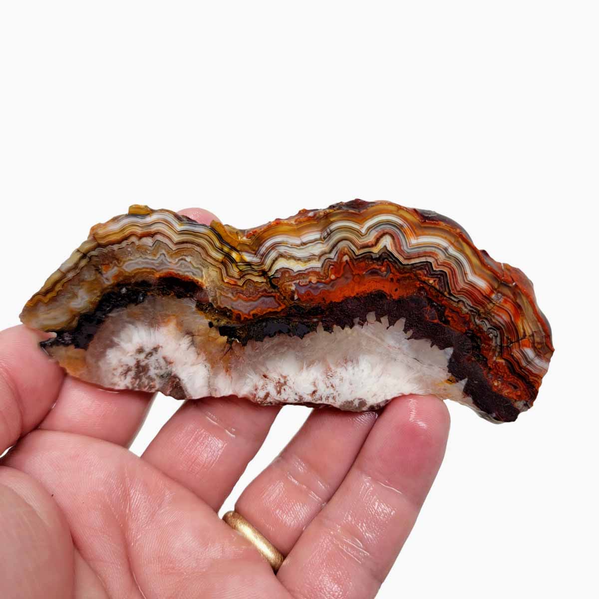 Laguna Lace Agate Slab! Lapidary Stone Slab!