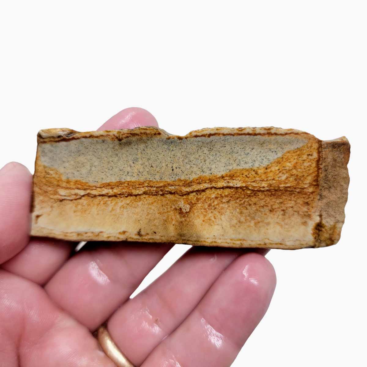 Chicken Track Jasper Slab! Lapidary Stone Slab!