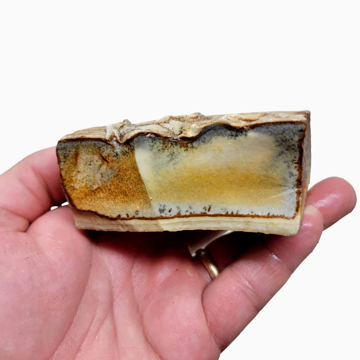 Chicken Track Picture Jasper Rough Chunk!