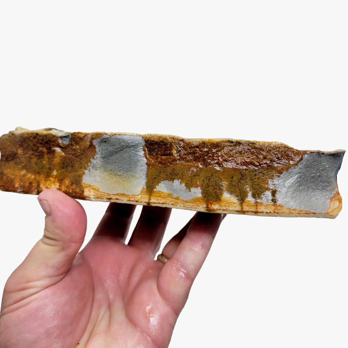 Chicken Track Picture Jasper Rough Chunk!