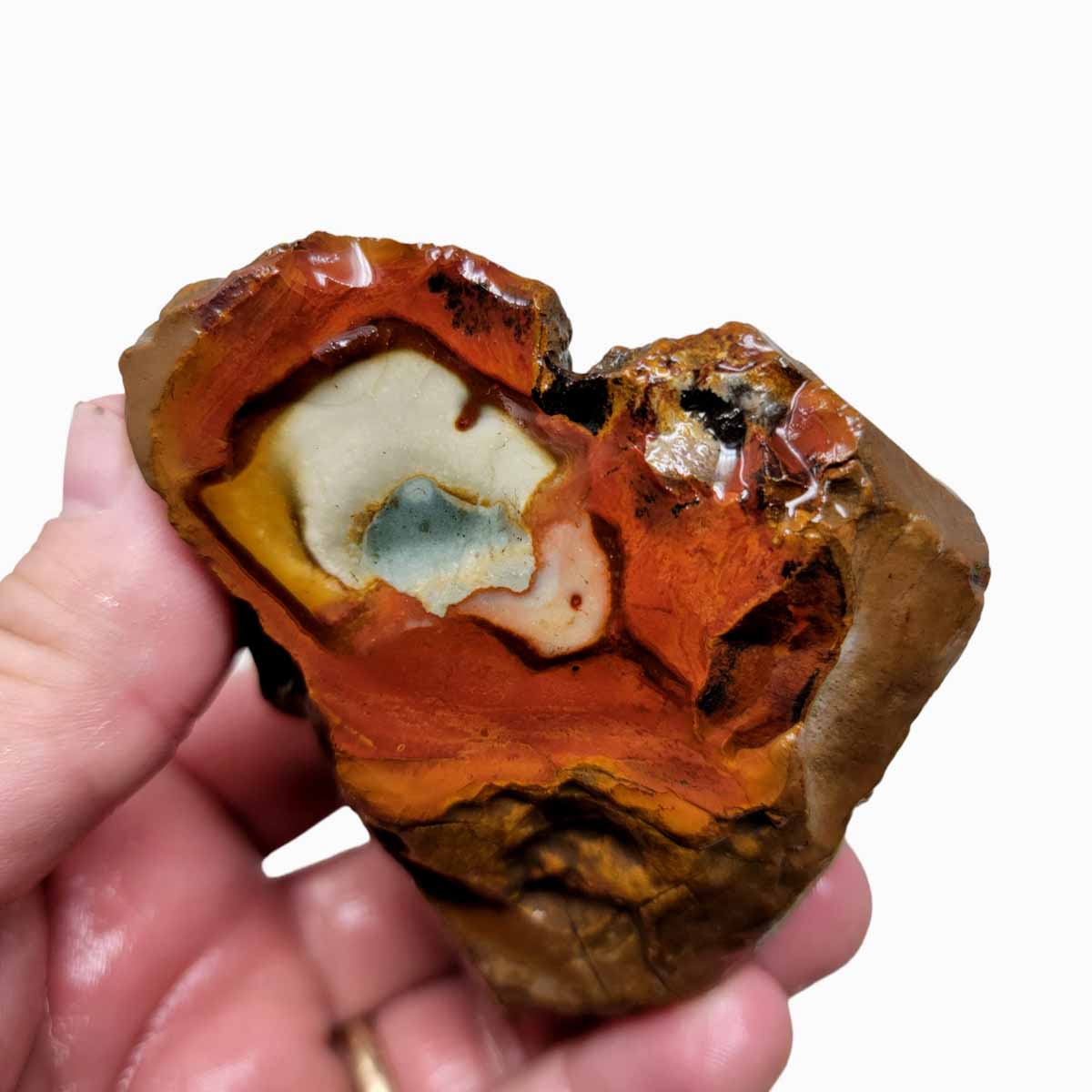 Polychrome Jasper Rough Chunk!