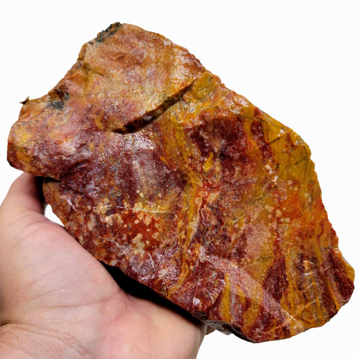 Agua Nueva Agate New Water Agate Rough Chunk!