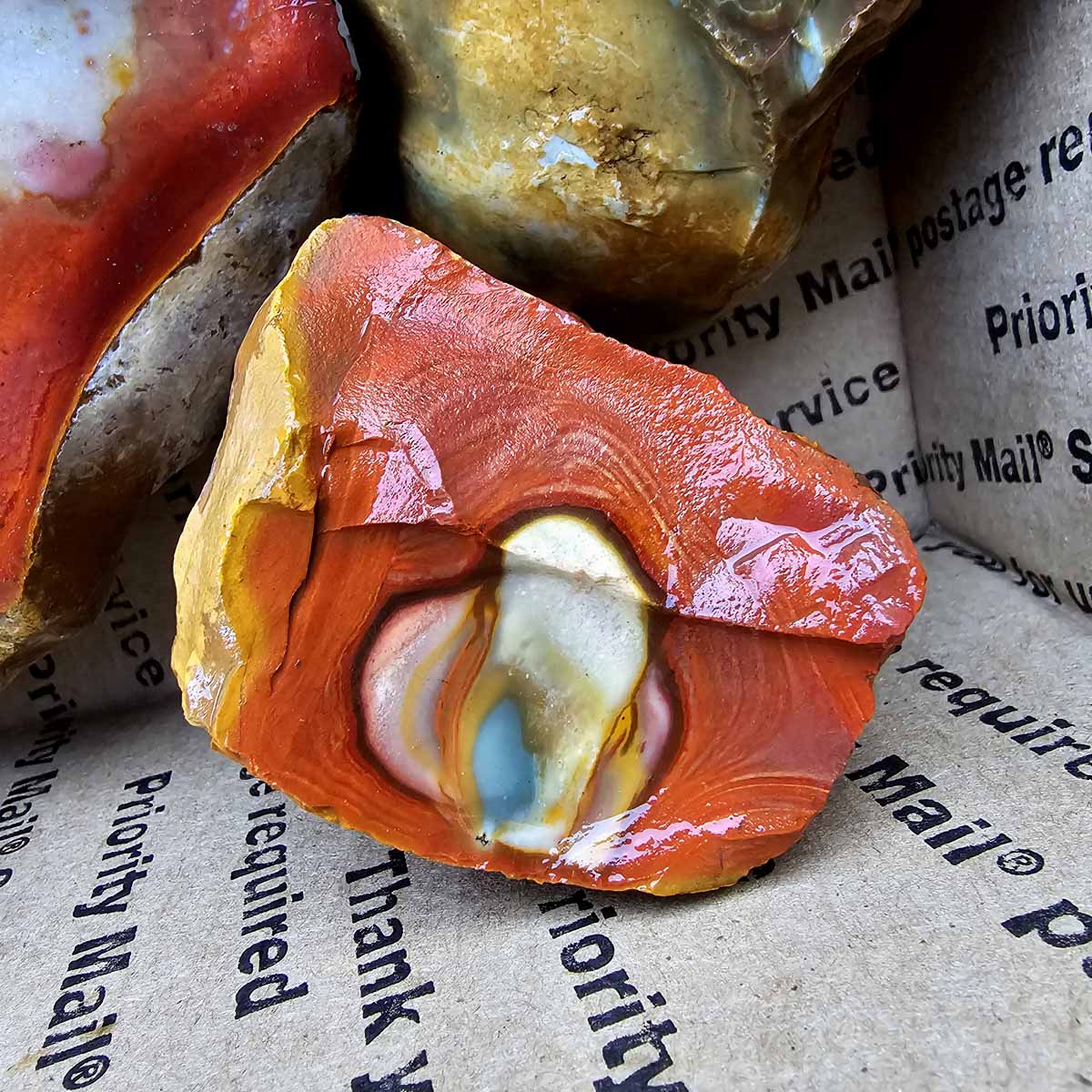 Polychrome Jasper Cutting Rough Flatrate!