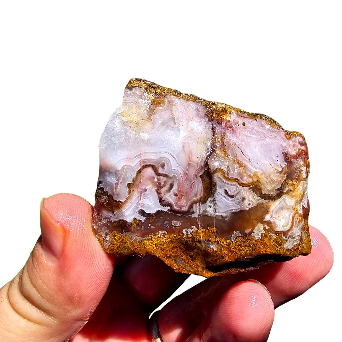 Agua Nueva Agate New Water Agate Rough Chunk!