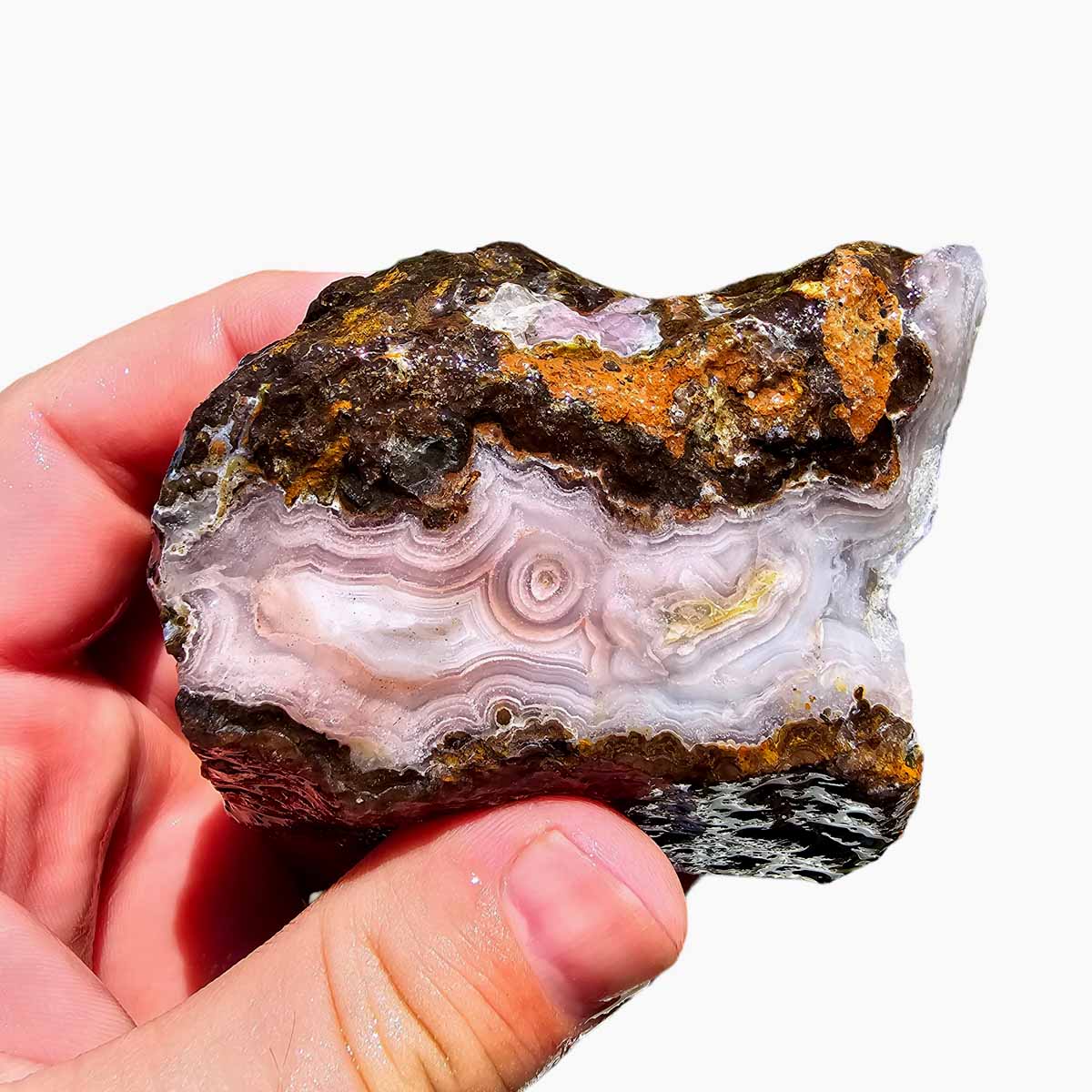 Agua Nueva Agate New Water Agate Lapidary Rough Chunk