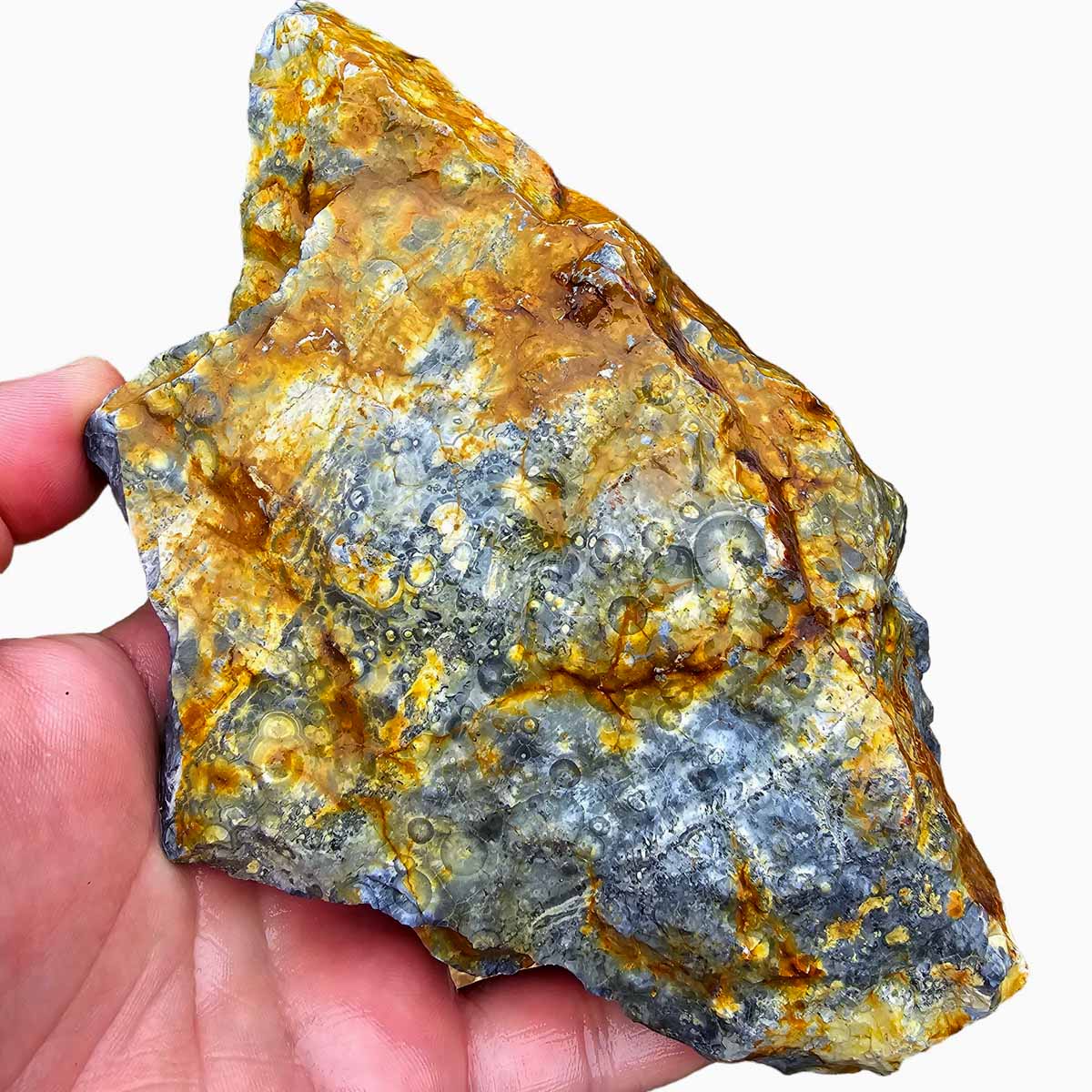 Galaxy Galactica Orbicular Rhyolite Jasper Rough Chunk