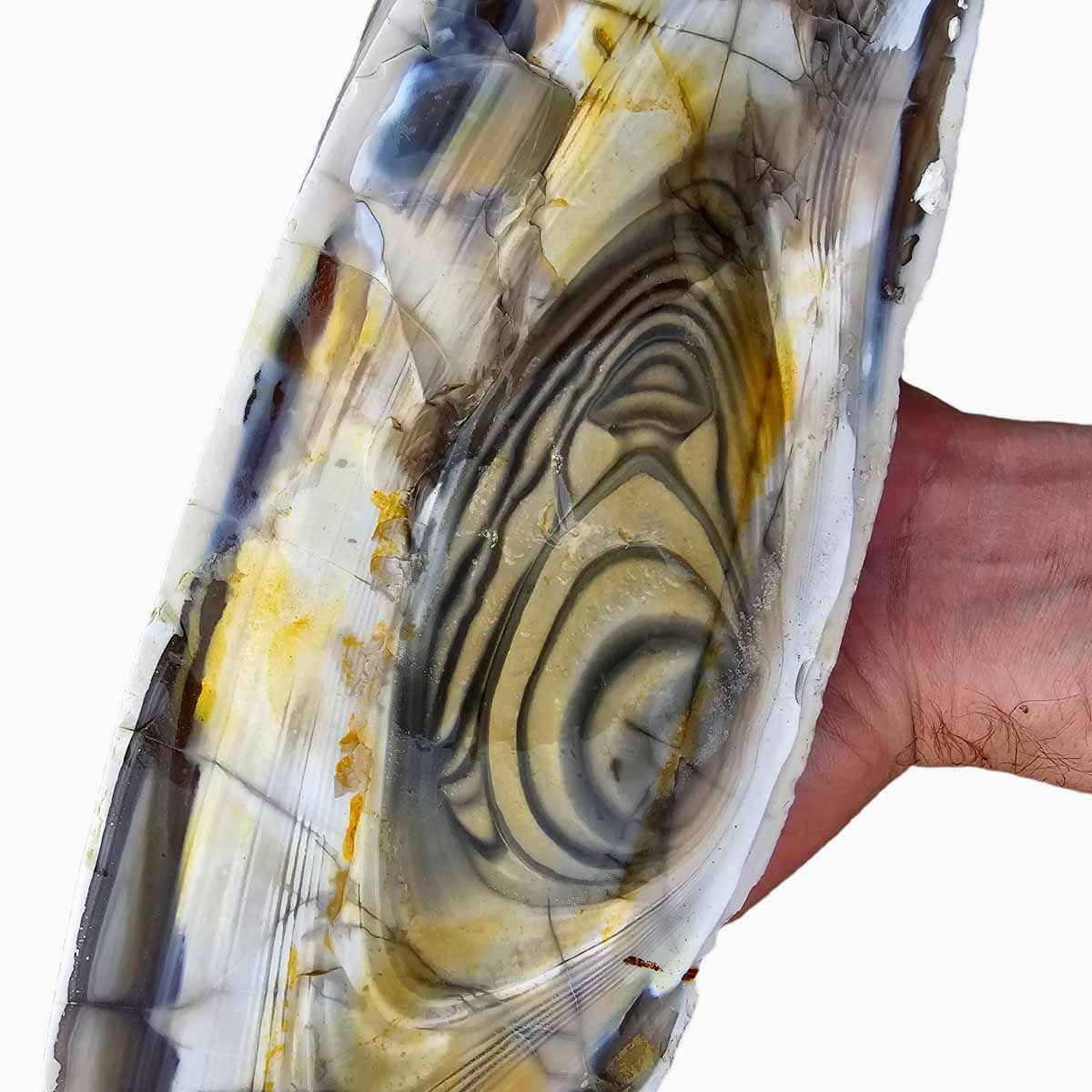 RARE Polish Flint Orbicular Lapidary Rough Chunk