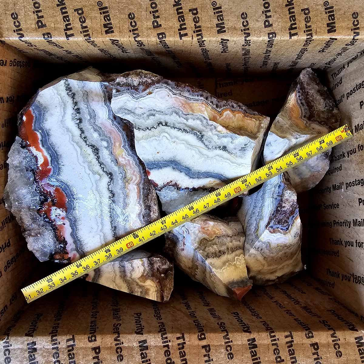 Crazy Lace Agate Lapidary Rough Flatrate
