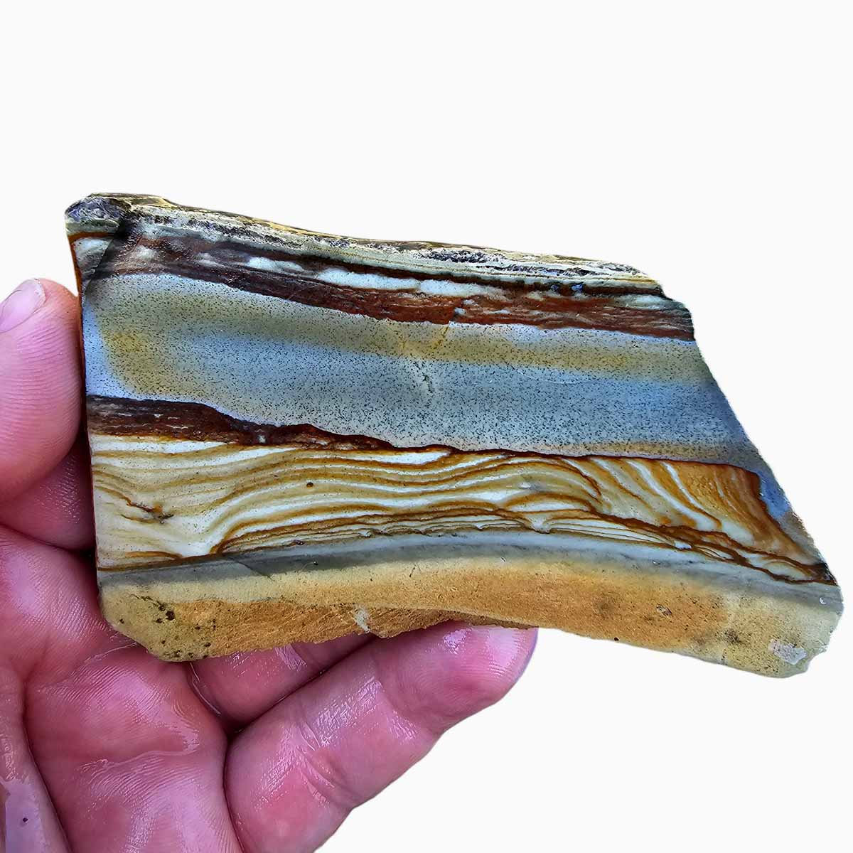 Old Stock Arroyo Picture Jasper Slab Lapidary Stone Slab