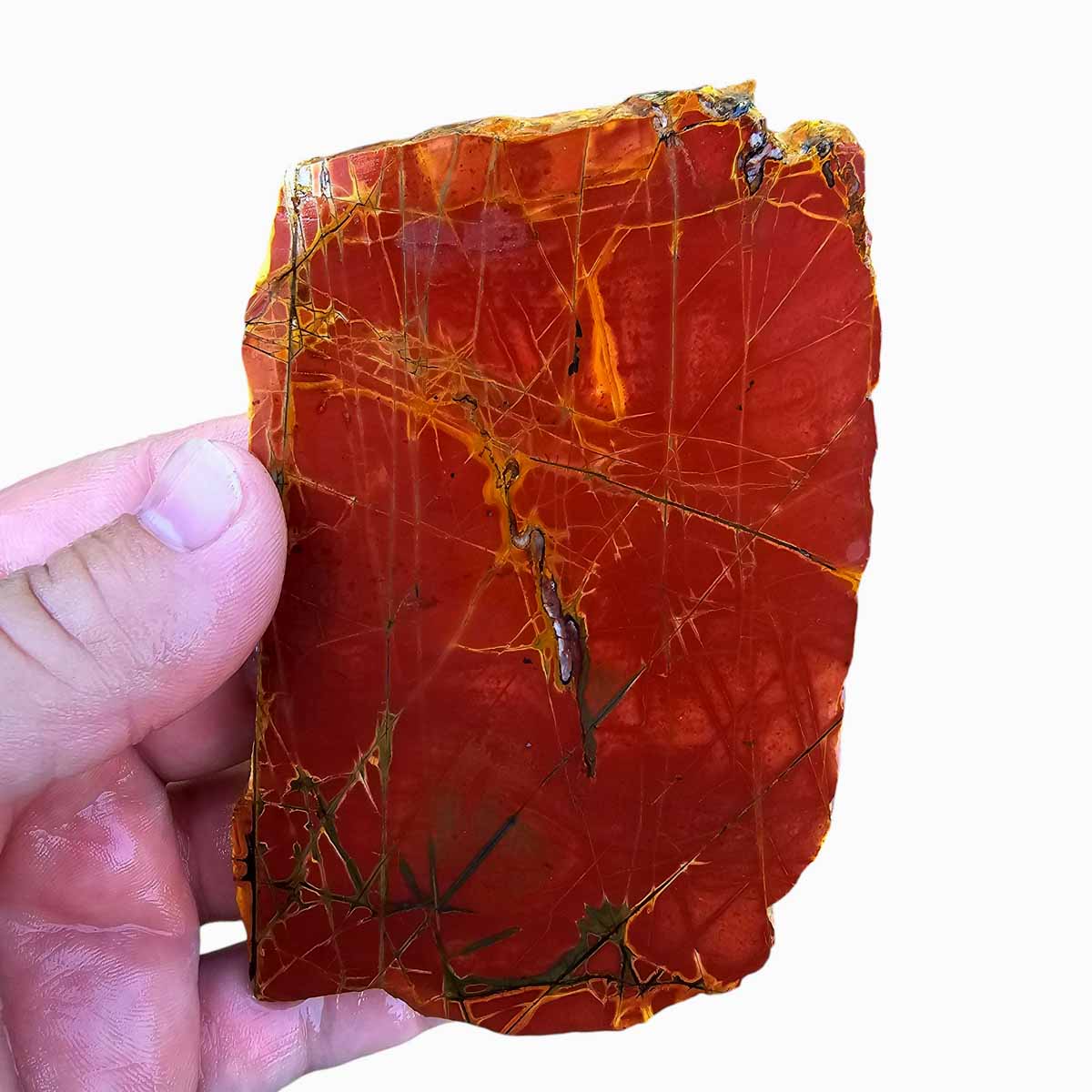 Cherry Creek Jasper Slab Lapidary Stone Slab