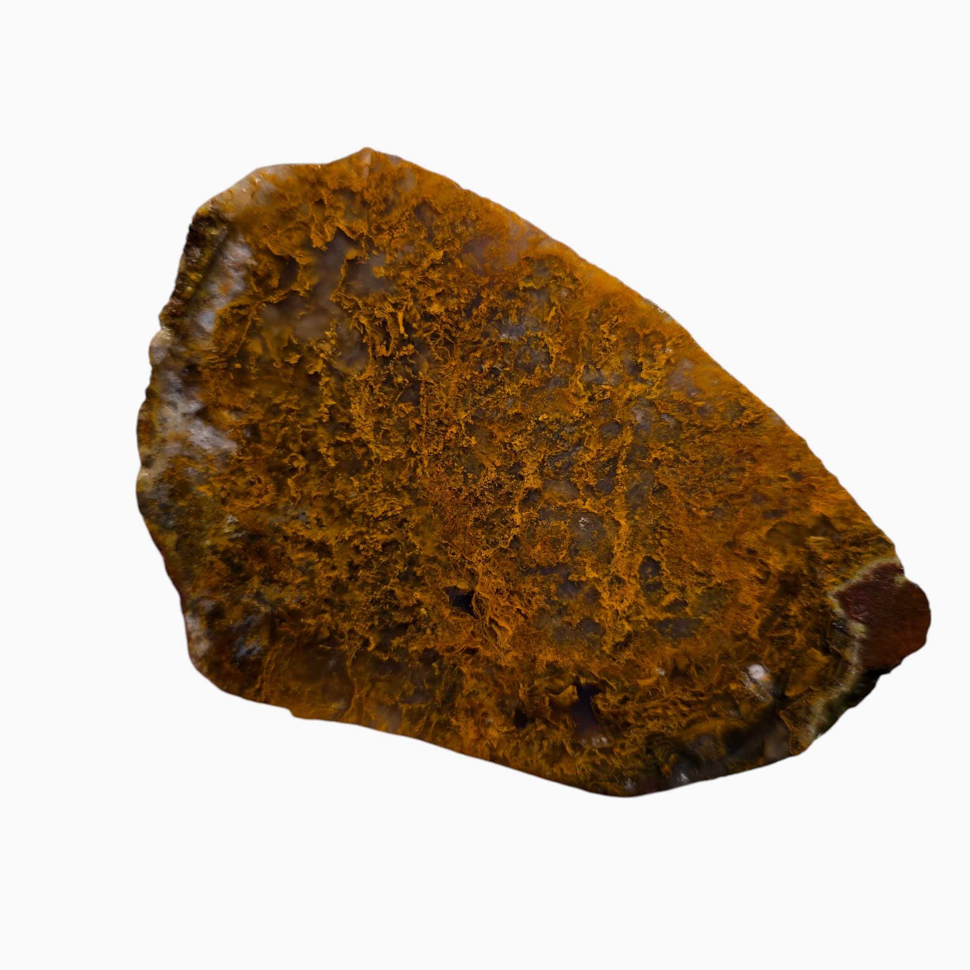 San Carlos Agate Slab Lapidary Stone Slice Cut Rock