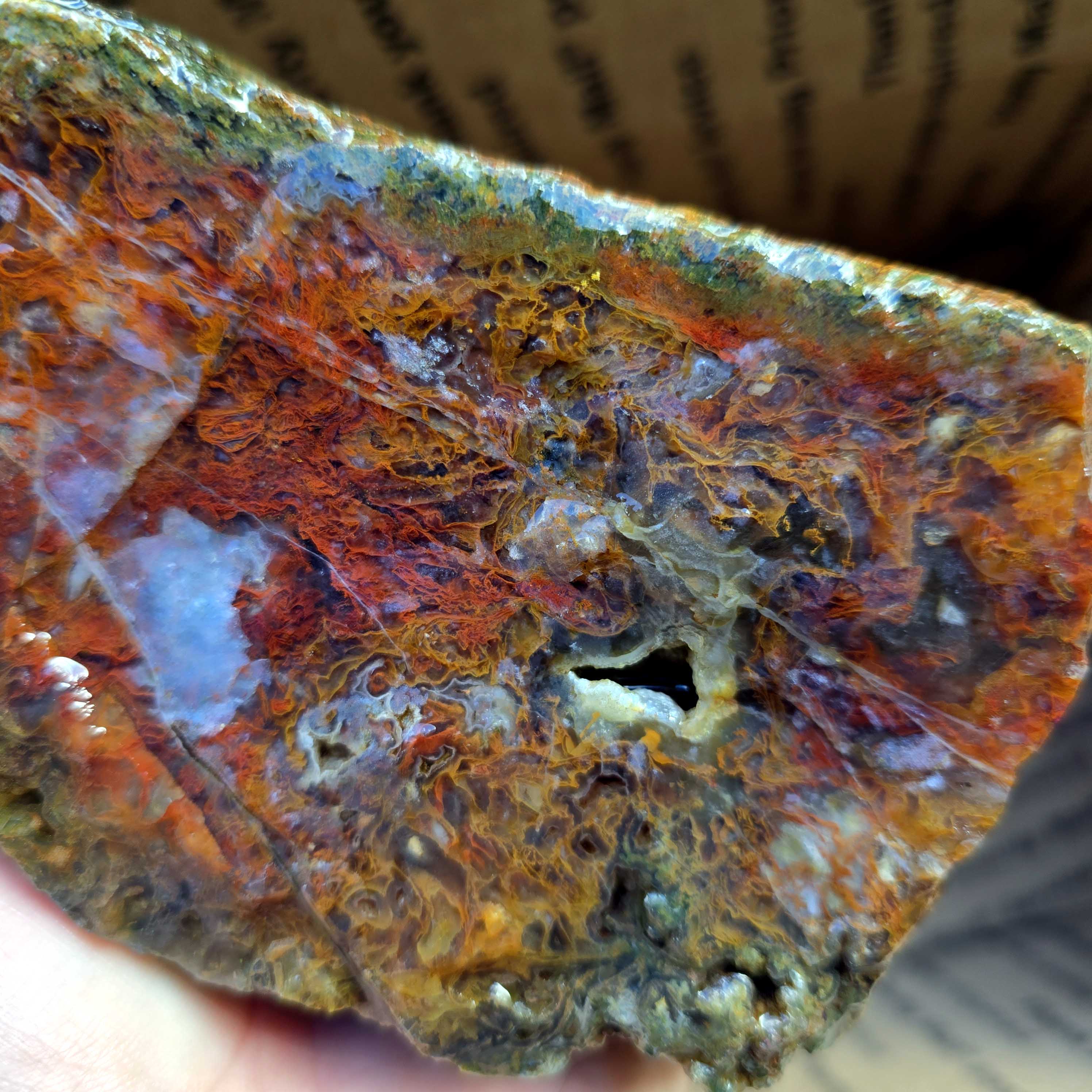 Old Stock Oregon Lapidary Agate Jasper Mix Cutting Rough Flatrate