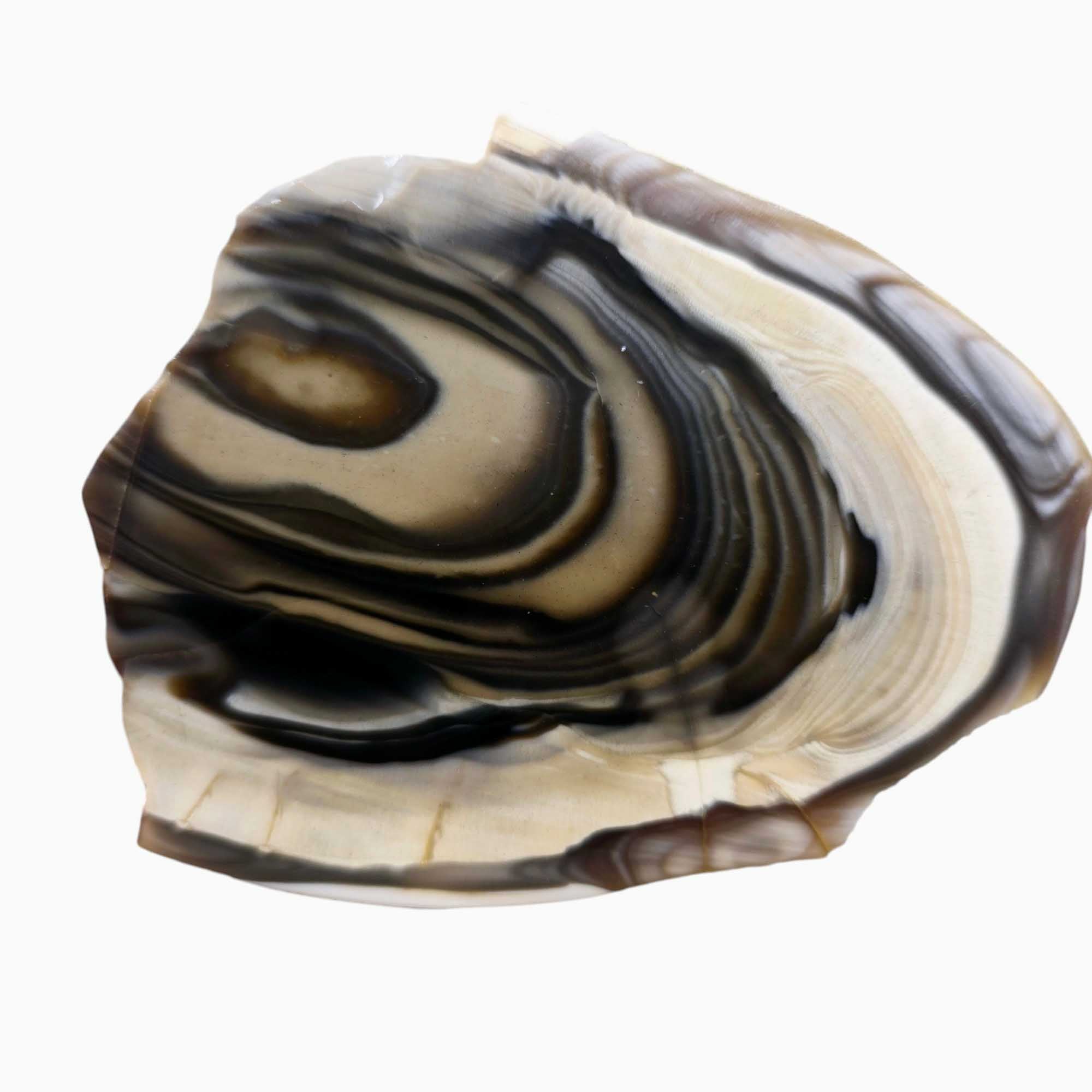 Polish Flint Lapidary Stone Slab Lapidary Stone Slice Cut Rock