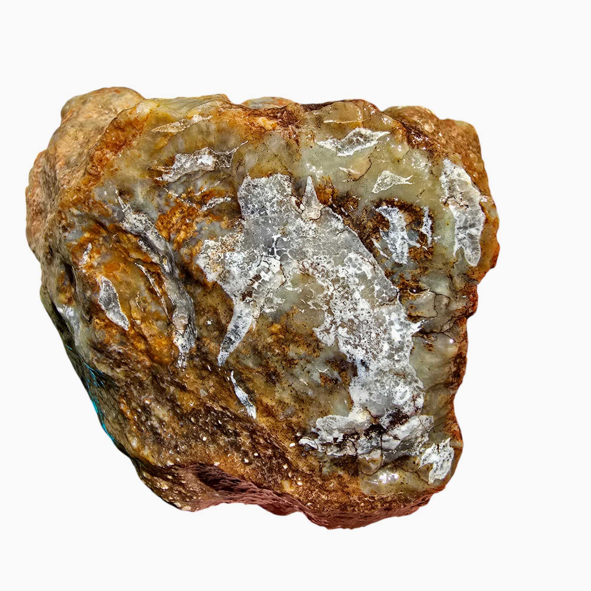 Coprolite Fossil Dino Poo Lapidary Rough Chunk Natural #R791-Photo1