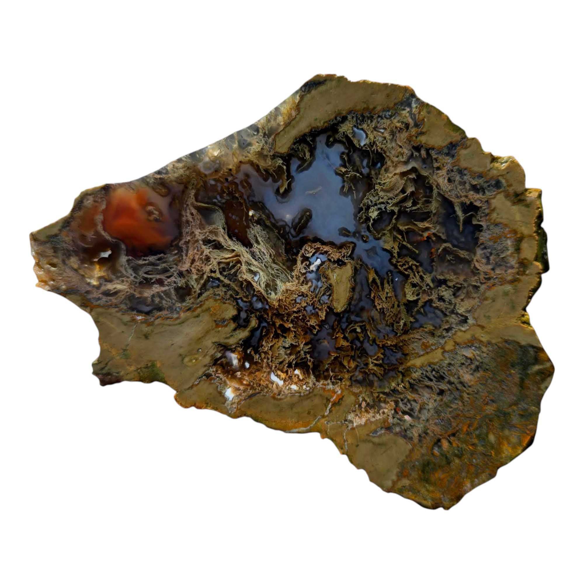 Priday Moss Bed Egg Rough Chunk Lapidary Stone Cut Face