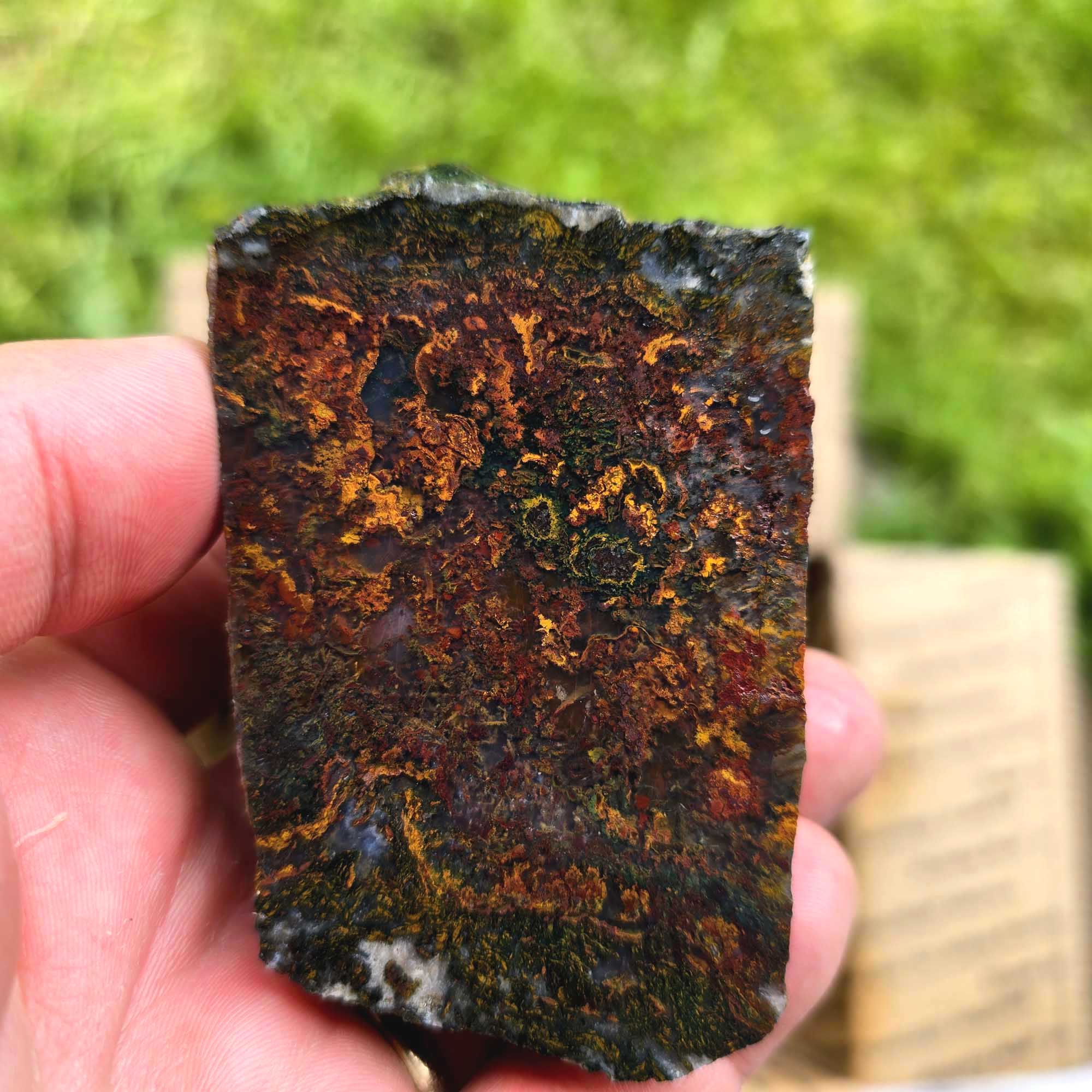 Cut and Proven & Endcut Cutting Rough Flatrate Lapidary Sliced Face