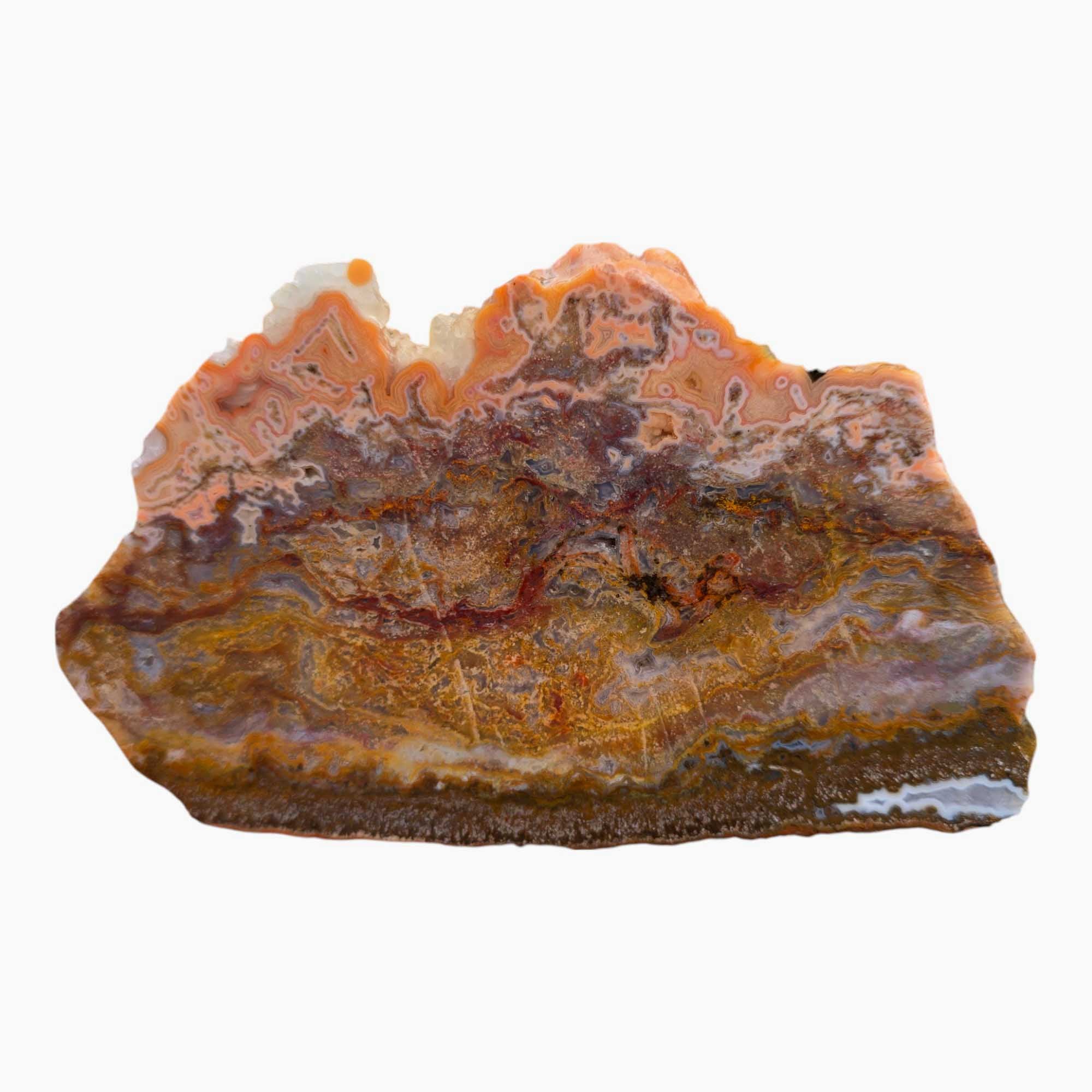 Agua Nueva Agate – Classic Static Moss Agate from Mexico for Lapidary Use