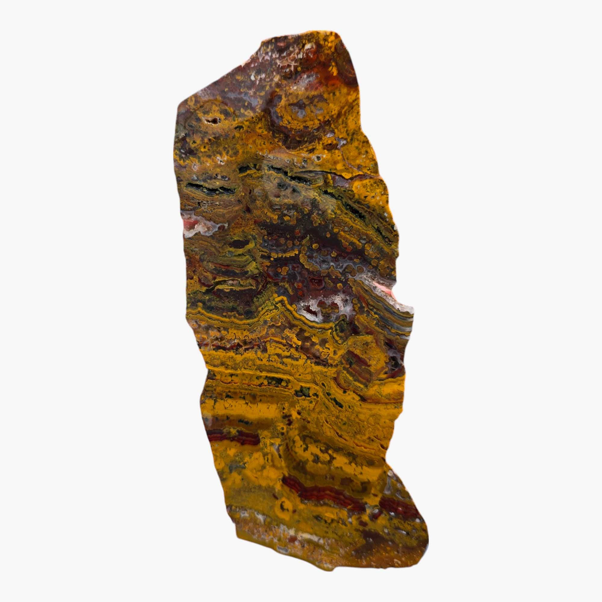 Apple Valley Jasper – Fossil Stromatolite from Morocco’s Sahara Desert