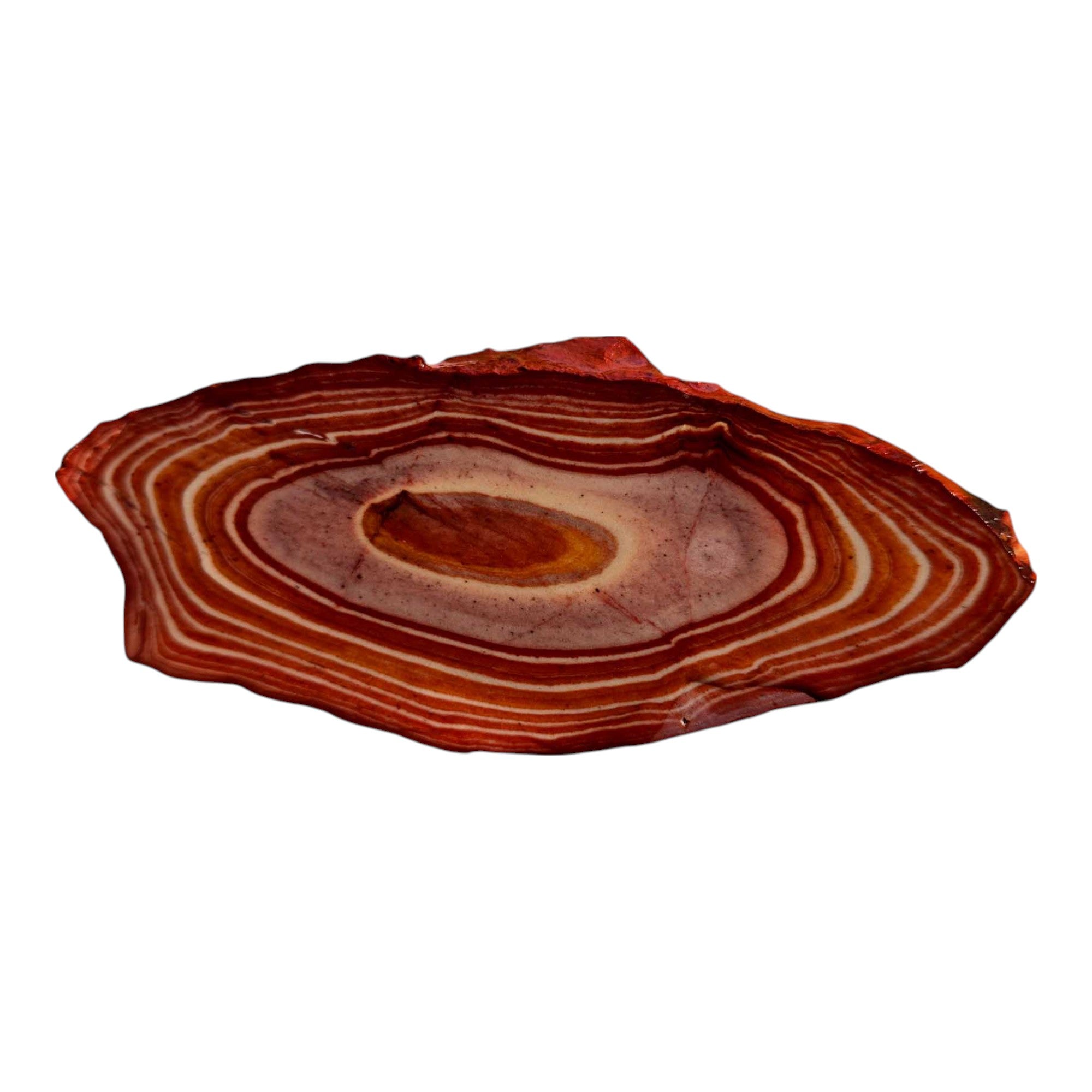 Nevada Wonderstone Slab – Bullseye Pattern Lapidary Stone from the USA