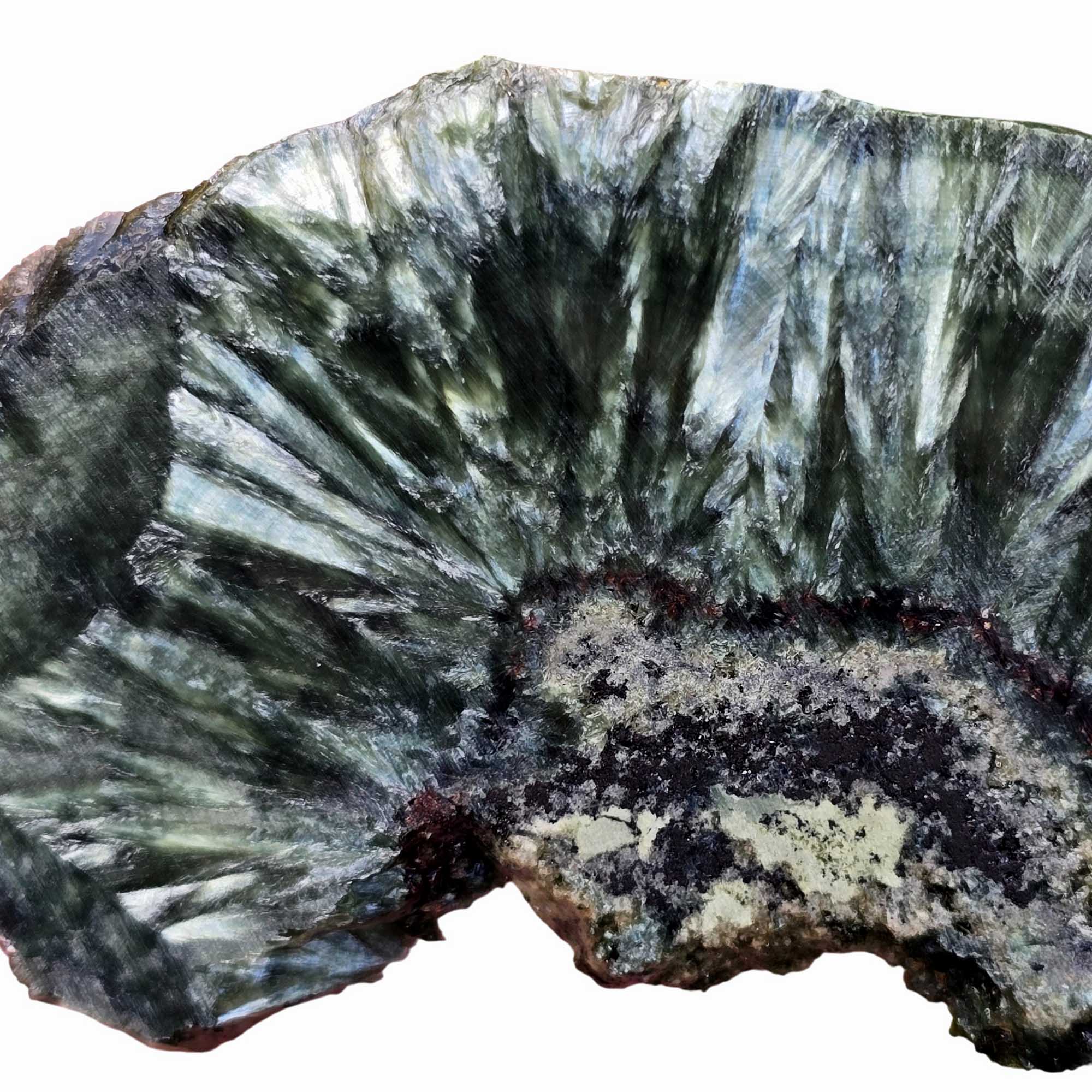 Seraphinite Slab - Feather Chatoyance with Matrix and Cabbing Potential